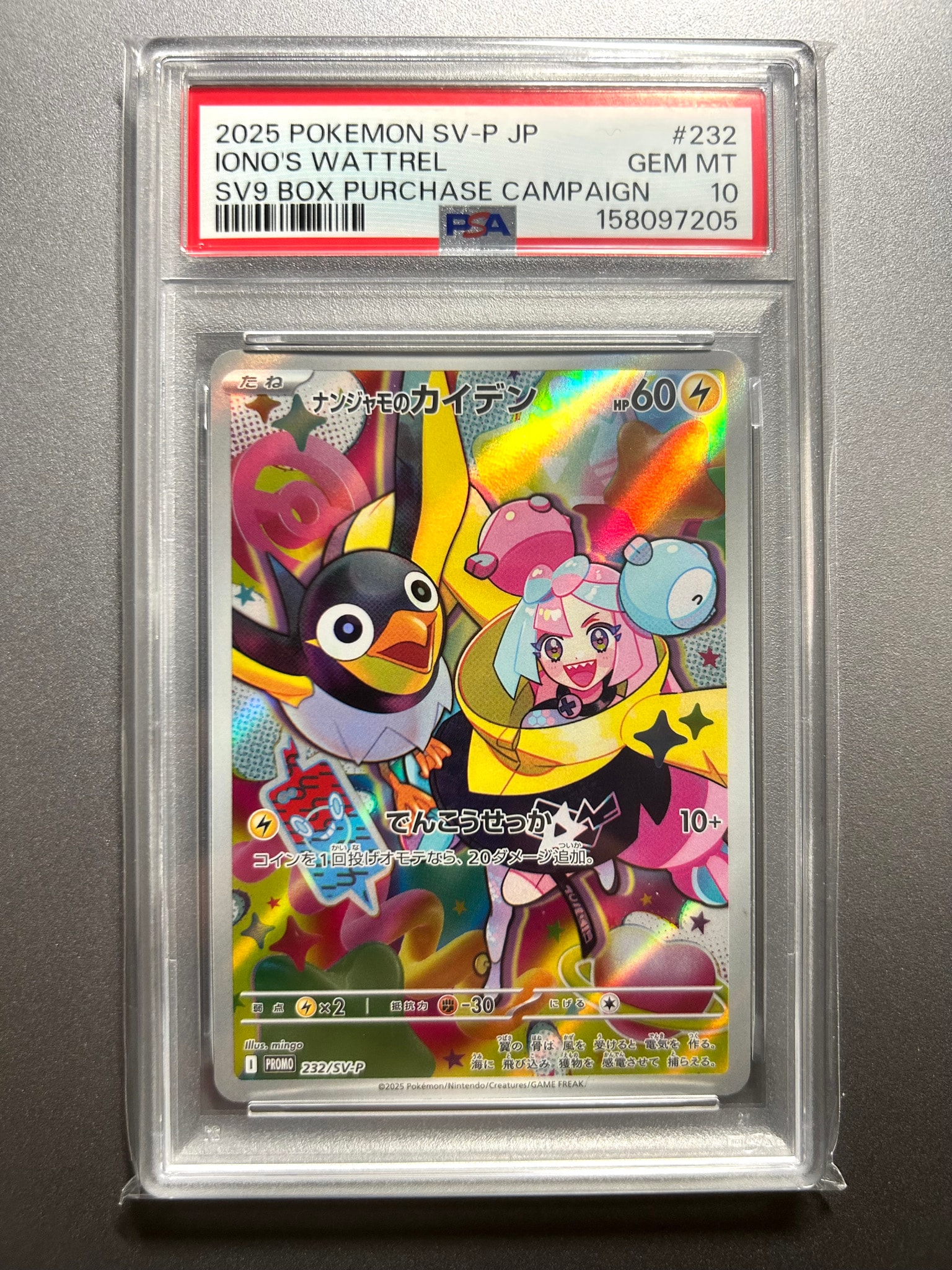 Iono's Wattrel P [SV-P 232](Promotional Cards "Expansion Pack Battle Partners Box Purchase Campaign")
