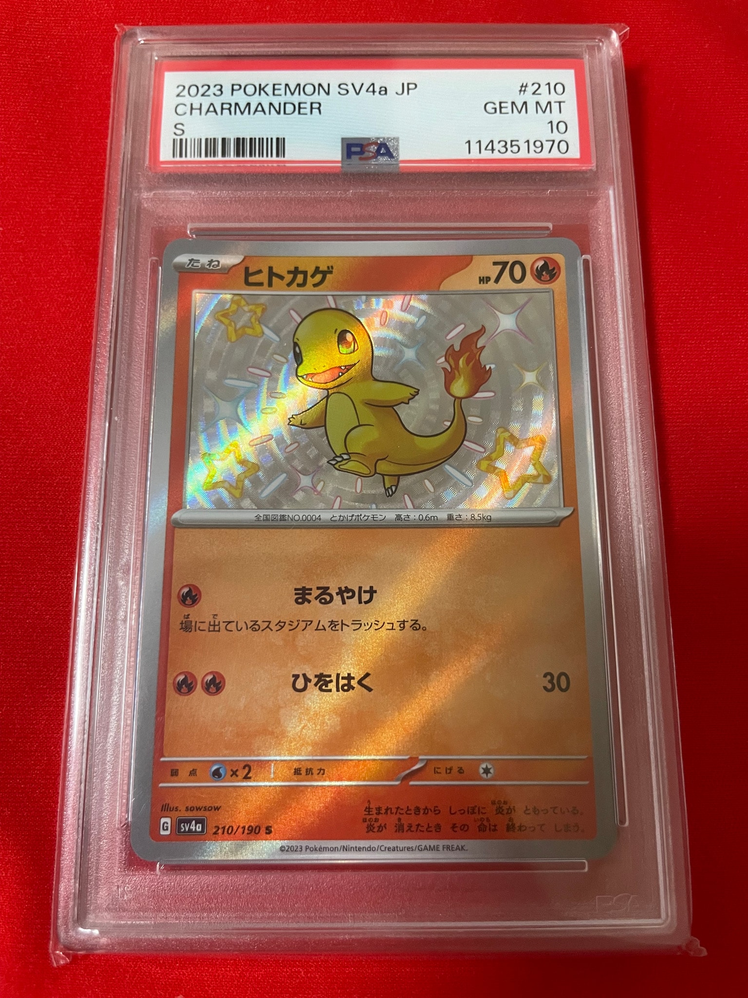 Charmander S[SV4a 210/190](High Class Pack "Shiny Treasure ex")
