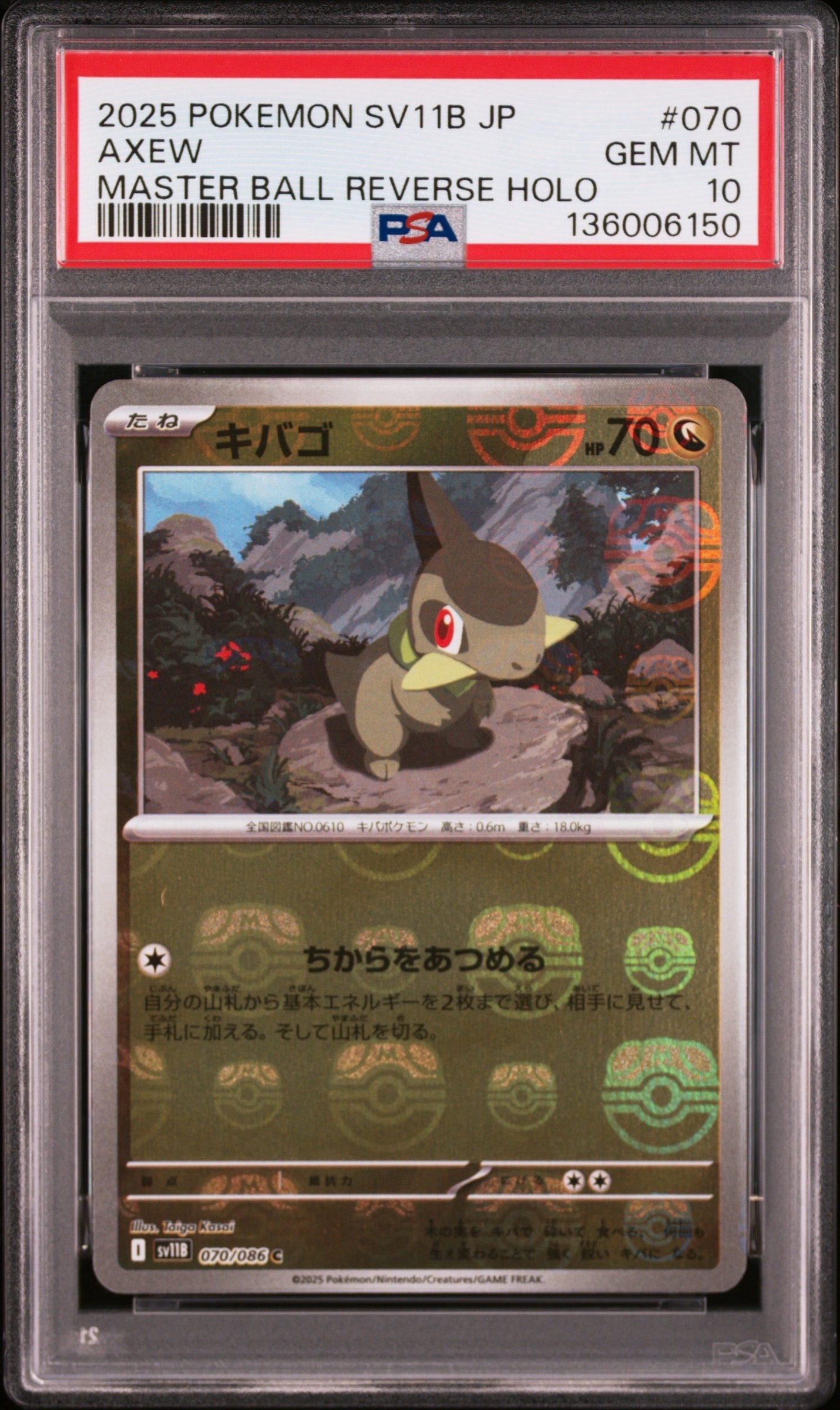 キバゴ C :マスターボールミラー [SV11B 070/086](拡張パック「ブラックボルト」)