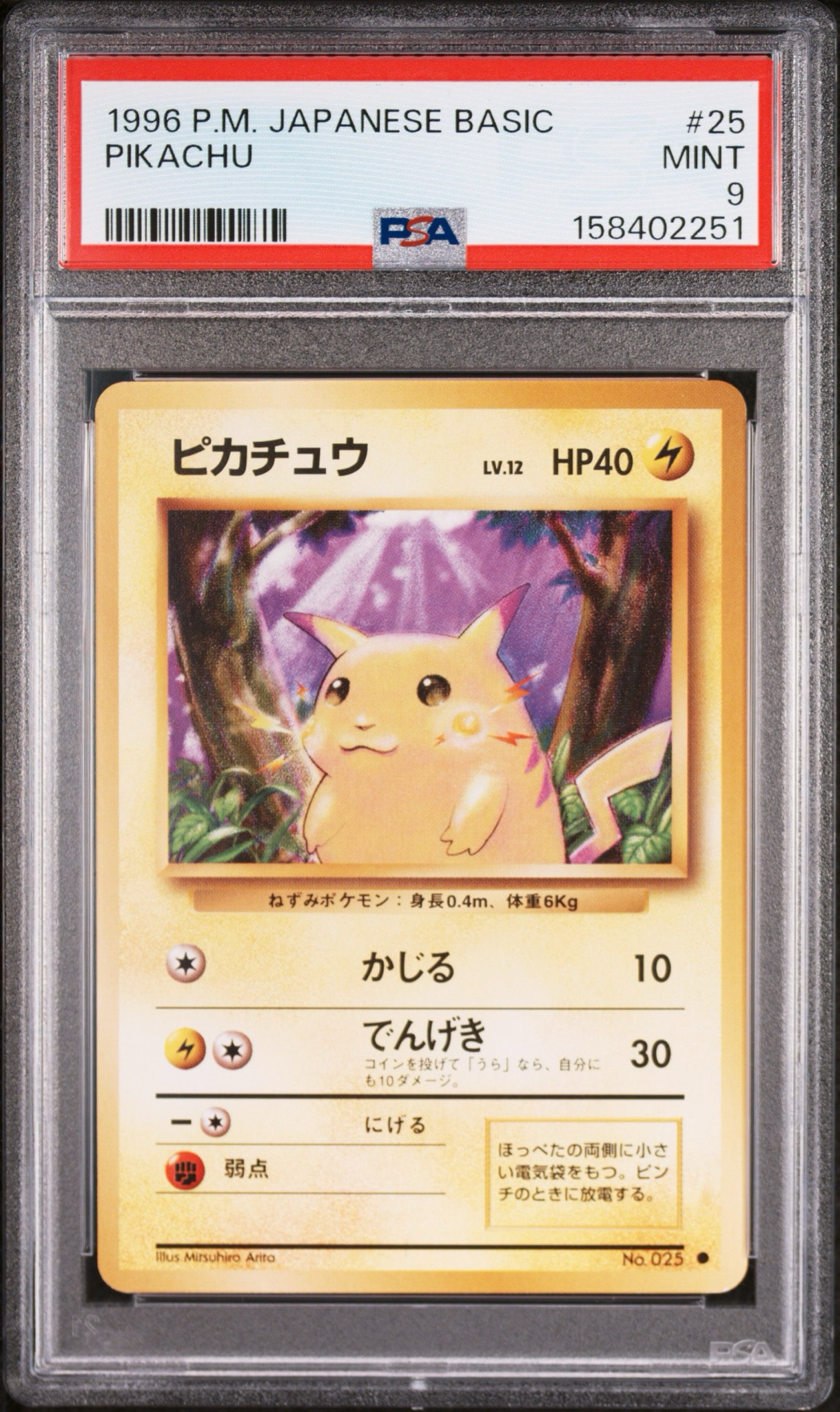 ピカチュウ ● : 旧裏 (拡張パック「ポケットモンスター カードゲーム」) ピカチュウ ○ : 旧裏 [PMCG1-2](拡張パック「ポケットモンスター