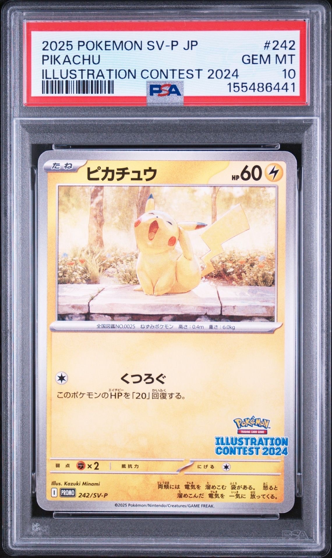 ピカチュウ [SV-P 242](プロモカードパック「イラストレーション