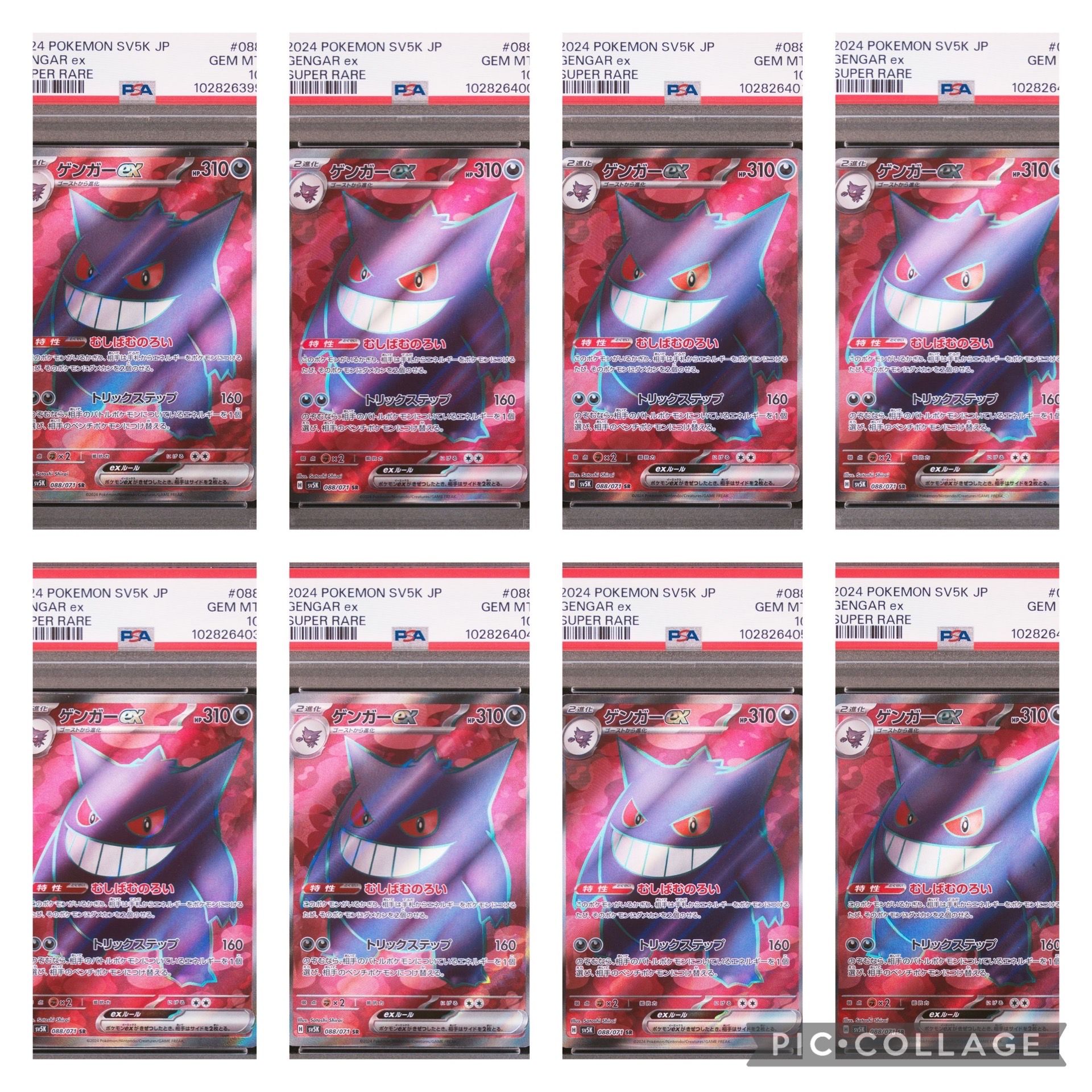 ゲンガーex SR [SV5K 088/071](拡張パック「ワイルドフォース」)