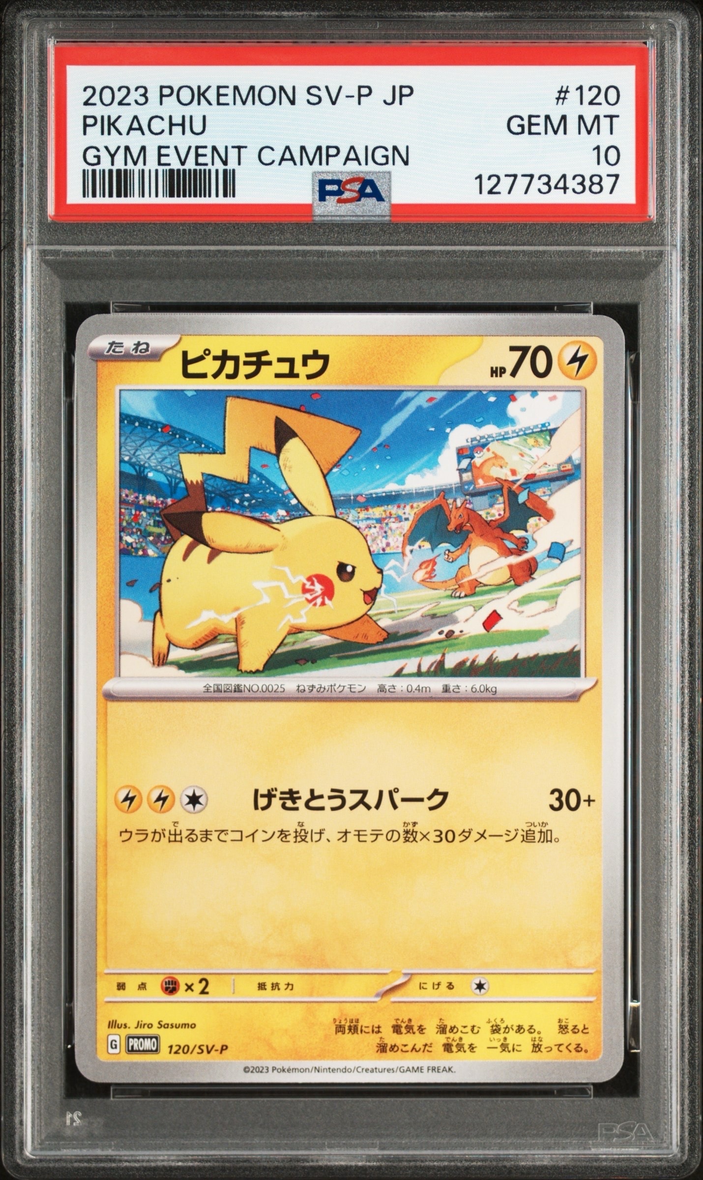 ピカチュウ: プロモ [SV-P 120](プロモーションカード「SV-P」)の新品