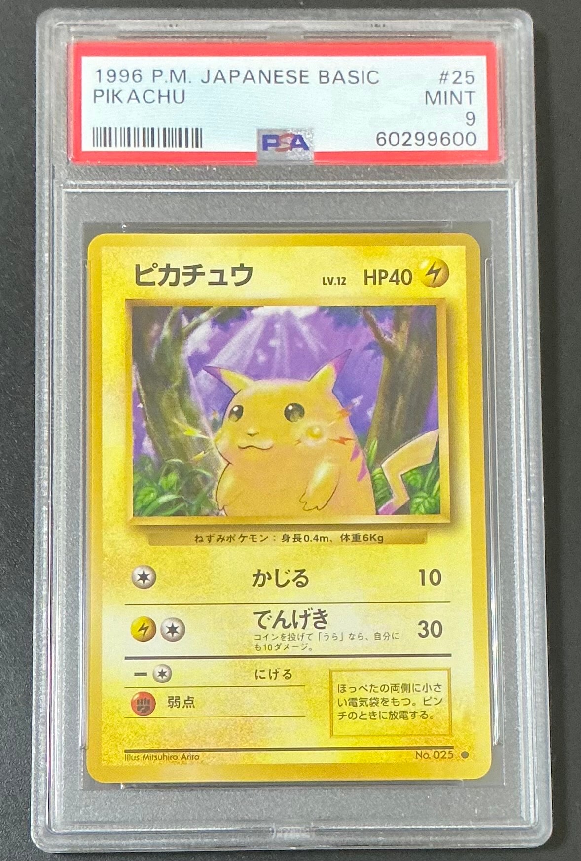 ピカチュウ ● : 旧裏 [PMCG1-2](拡張パック「ポケットモンスター カードゲーム」再販)