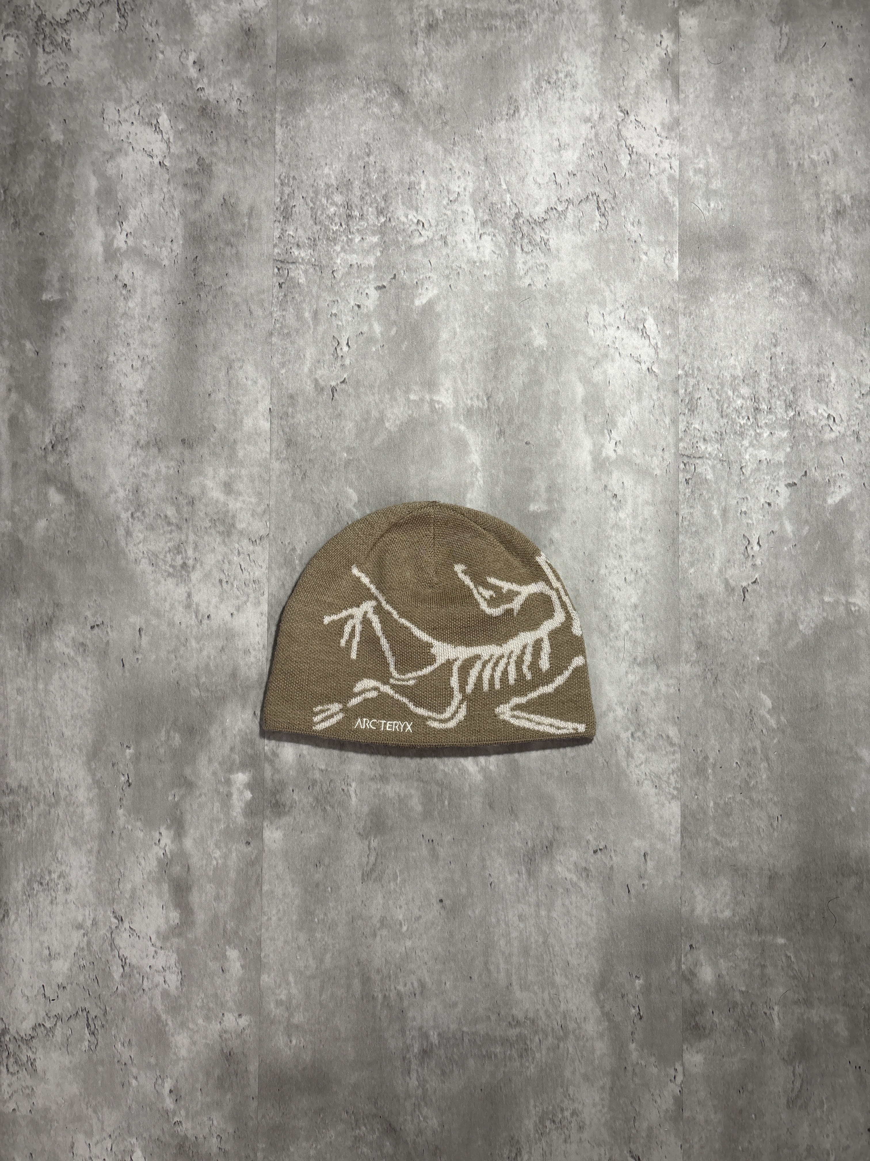 ARC'TERYX Bird Head Toque "Smoke Bluff/Arctech Silk" X000006756