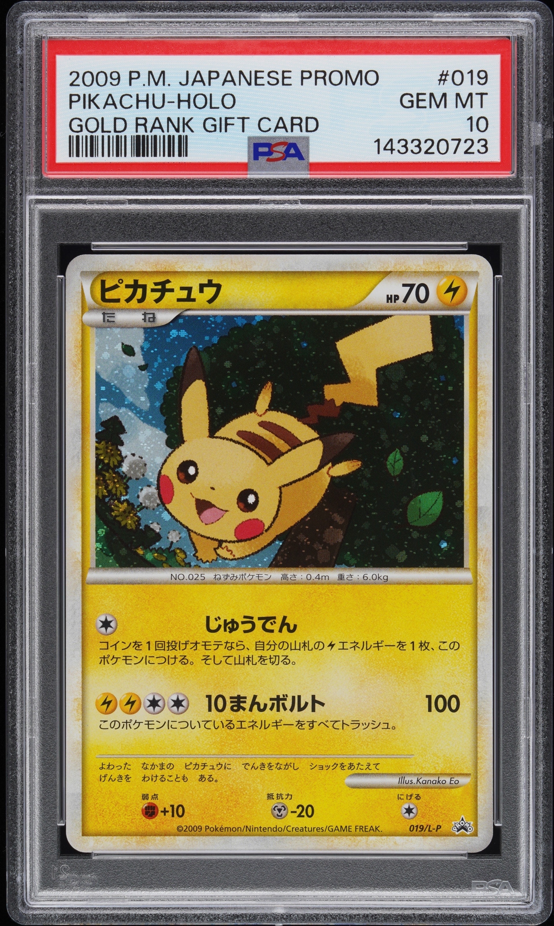 ピカチュウ PROMO DPt-Pプロモカード 019 ピカチュウ: プロモ[L-P 019/L-P](プロモーションカード「L-P」)の新品