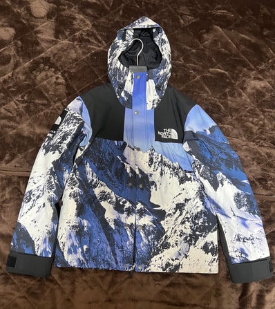 Supreme x The North Face Mountain Parka "Blue"