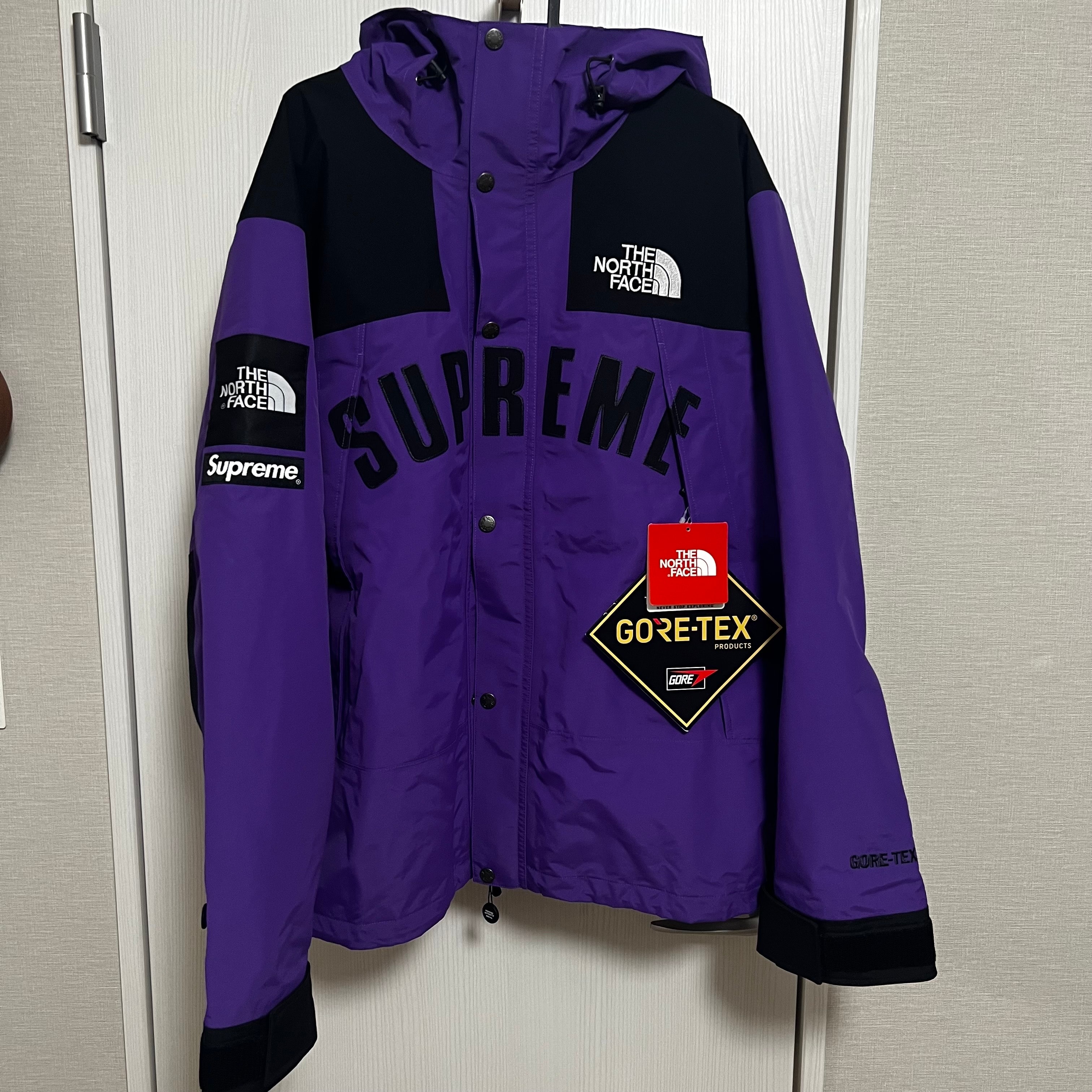 Supreme x The North Face Arc Logo Mountain Parka 