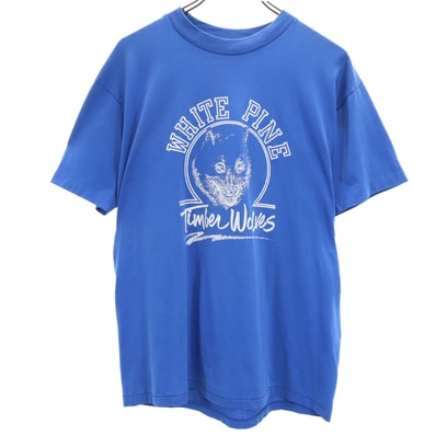 Hanes ヘインズ 90s プリント 半袖 シングルステッチ Tシャツ L ブルー系 オールド ヴィンテージ
