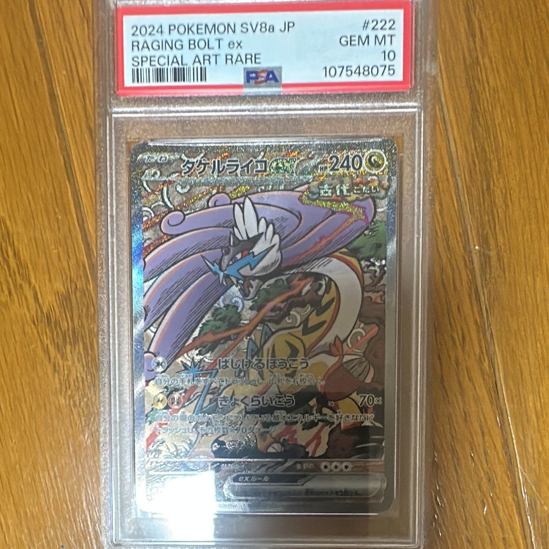 タケルライコex SAR [SV8a 222/187](ハイクラスパック「テラスタルフェスex」)