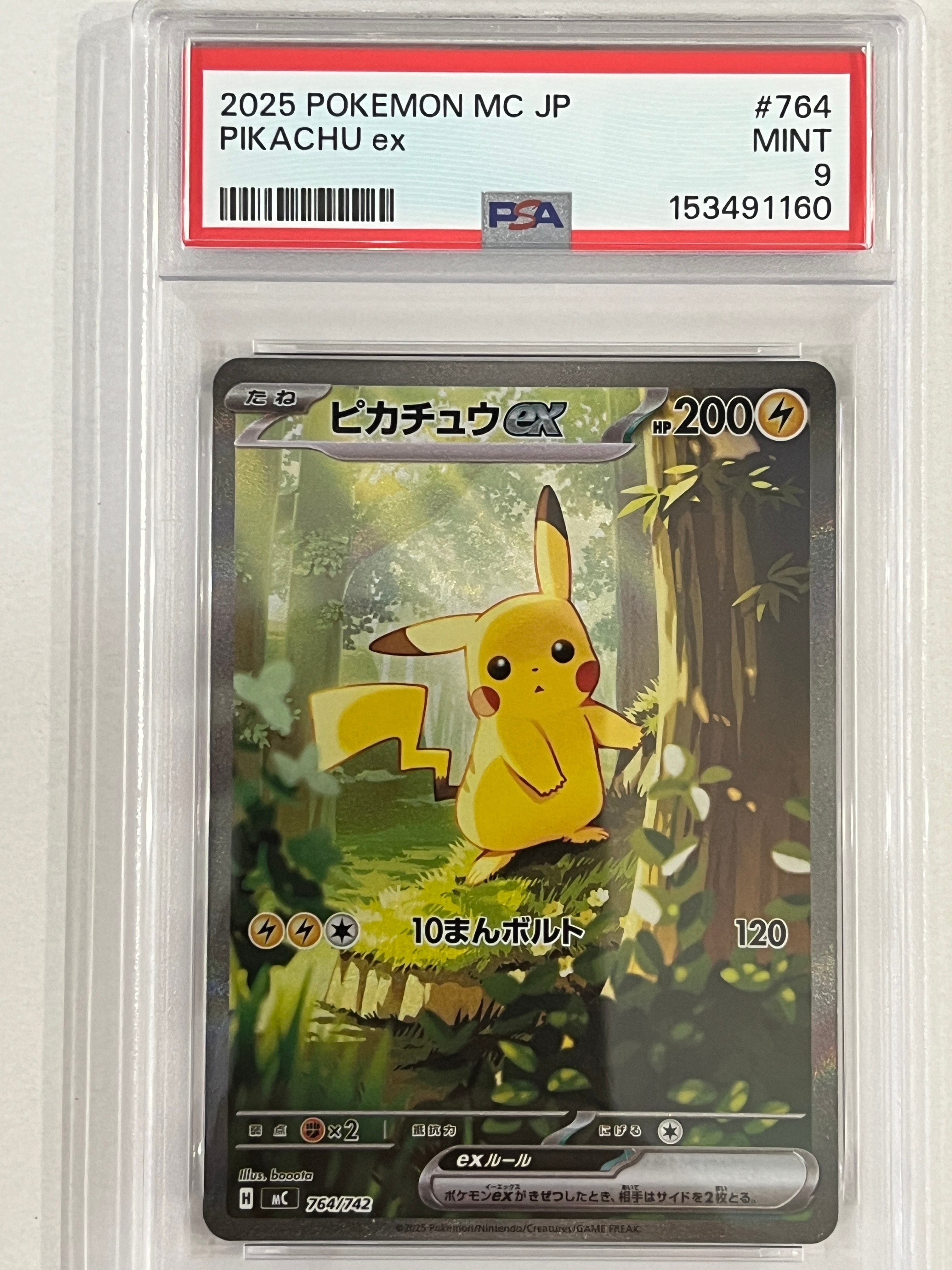 おじょうさま SR [SM6 100/094](拡張パック「禁断の光」)の新品/中古