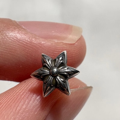 Chrome Hearts Star Stud Earrings "Silver"