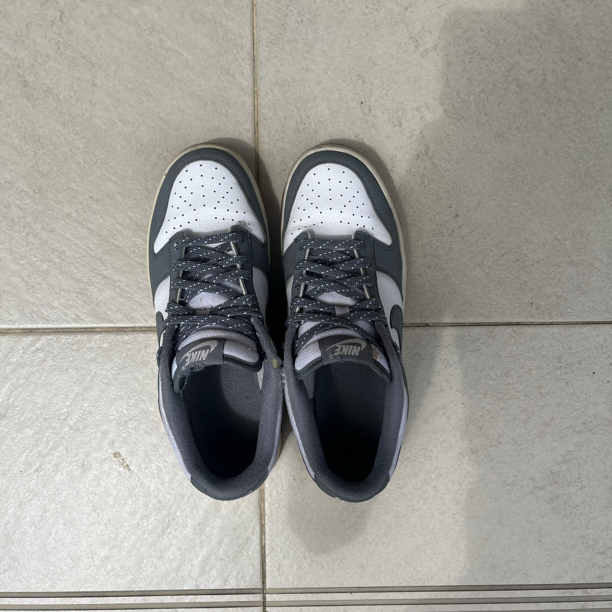 Nike Dunk Low Next Nature "Smoke Grey"