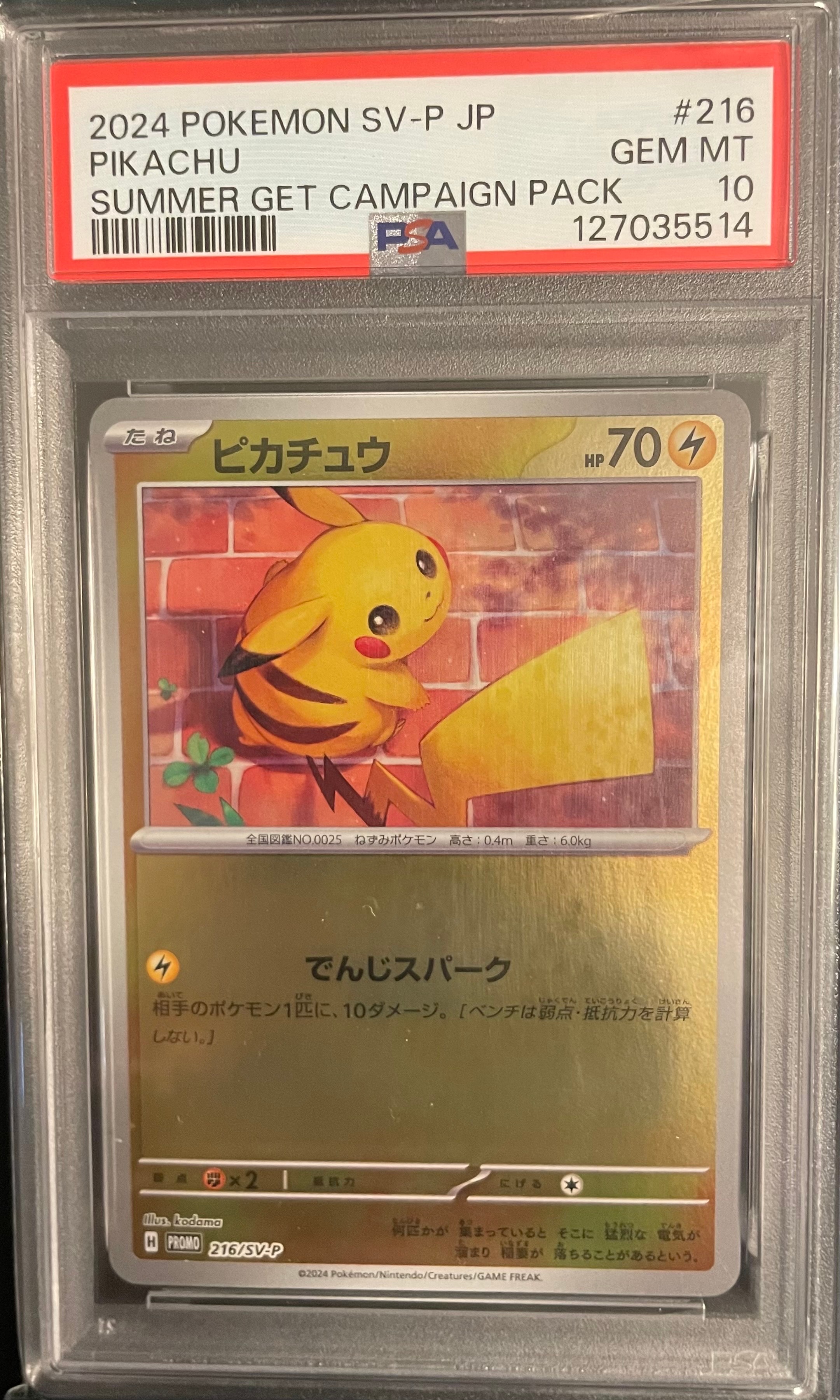 ピカチュウ P [SV-P 216](プロモカードパック「ポケカの夏がキタ!プロモカードGetキャンペーン!」)