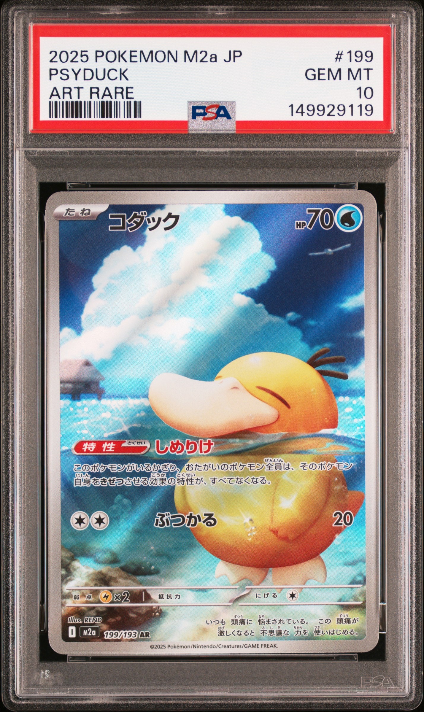 コダック AR [M2a 199/193](ハイクラスパック「MEGAドリームex」)