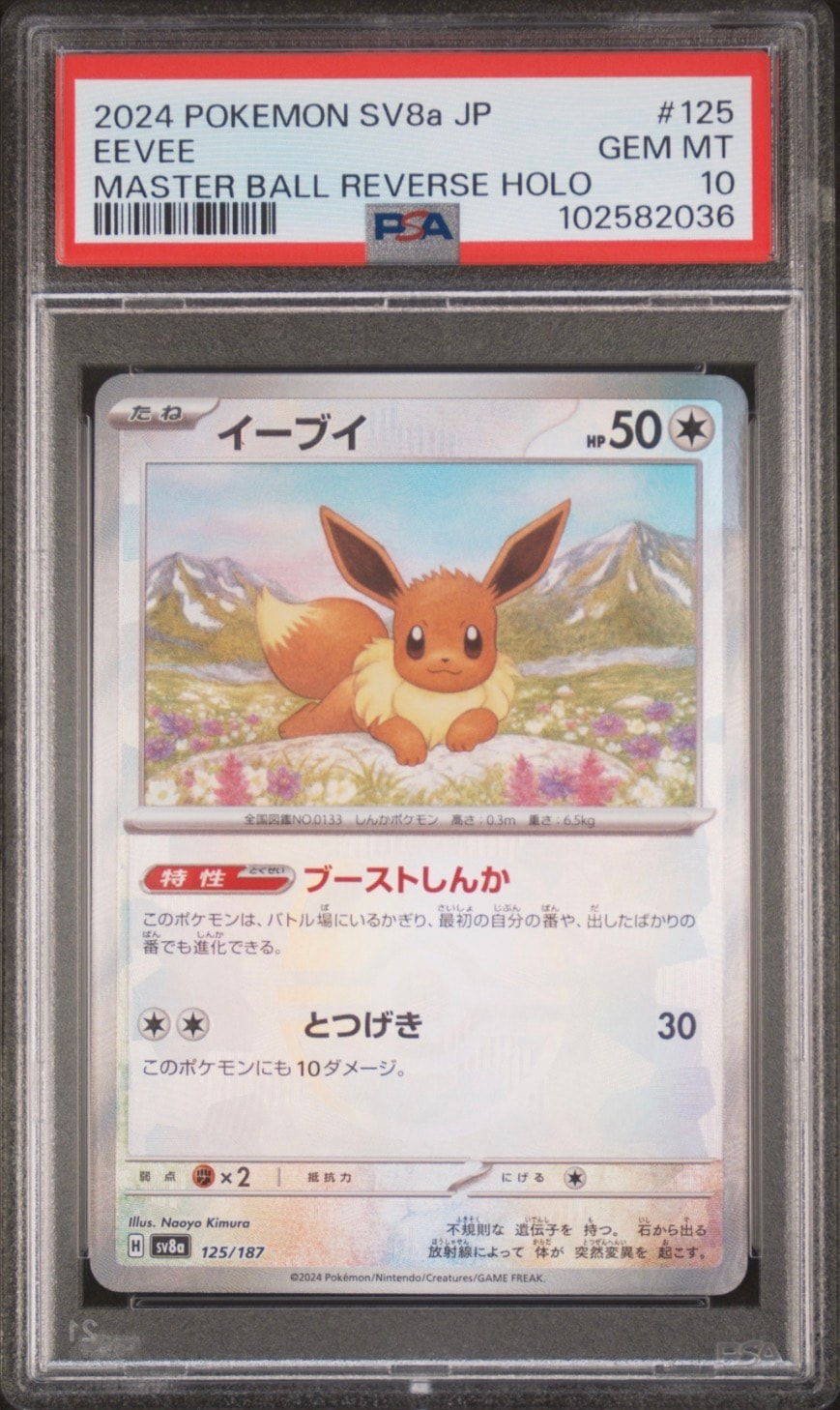 カイリュー　GB プロモ　PSA8 カイリュー GB プロモ PSA8 - メルカリ