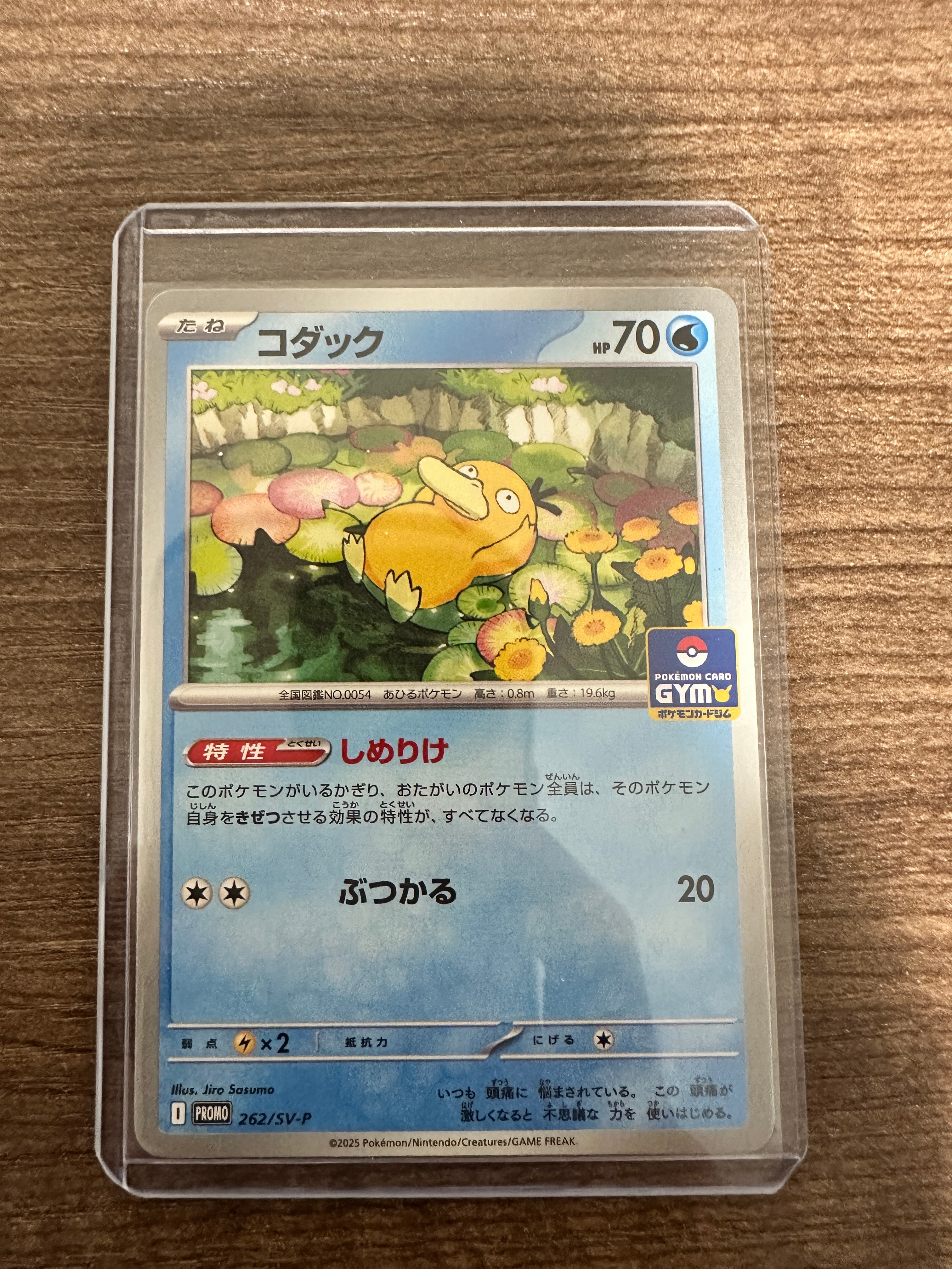 コダック P [SV-P 262](プロモカードパック「第10弾」)通販・買取