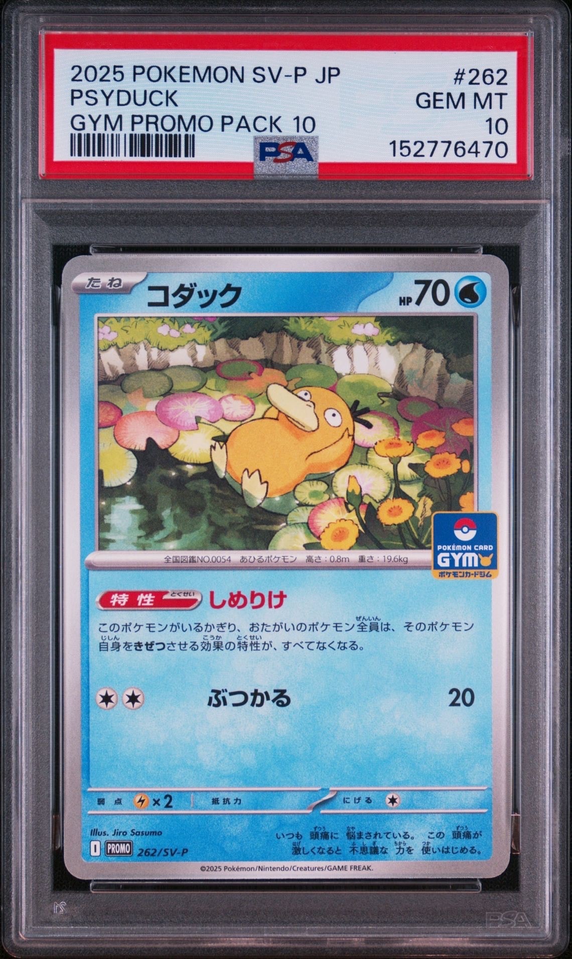 コダック P [SV-P 262](プロモカードパック「第10弾」)