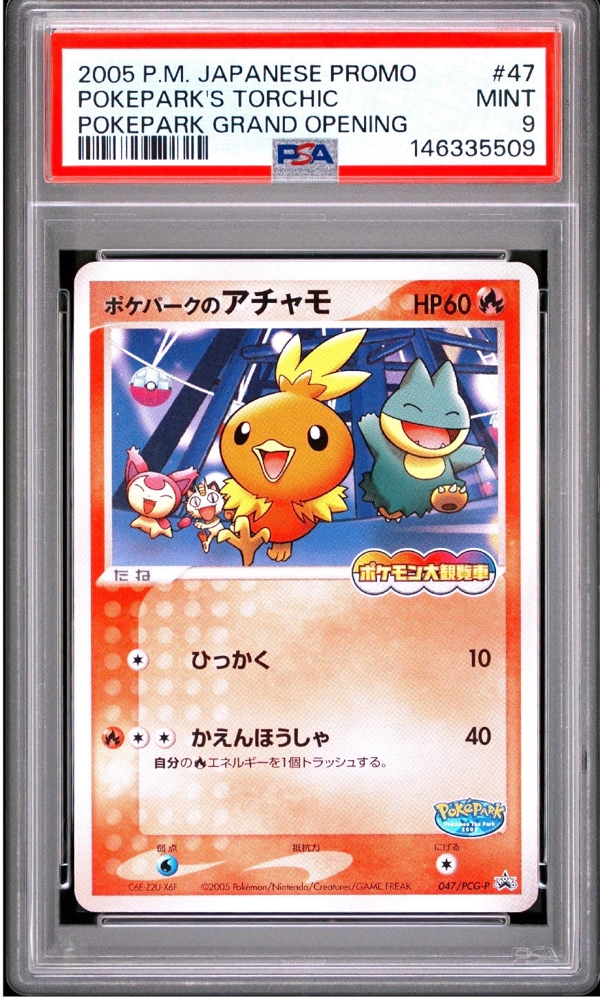 ポケパークのアチャモ P [PCG-P 047](プロモーションカード