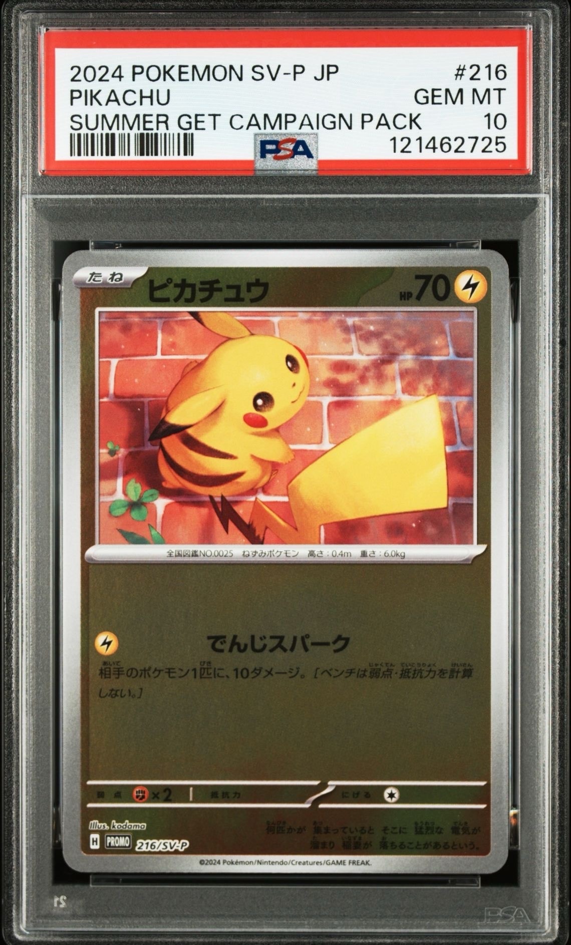 ピカチュウ P [SV-P 216](プロモカードパック「ポケカの夏がキタ!プロモカードGetキャンペーン!」)