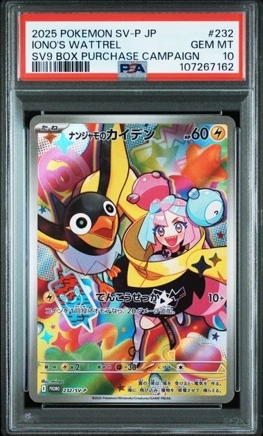 ナンジャモのカイデン P [SV-P 232](プロモーションカード「拡張パック バトルパートナーズ Box購入キャンペーン」)