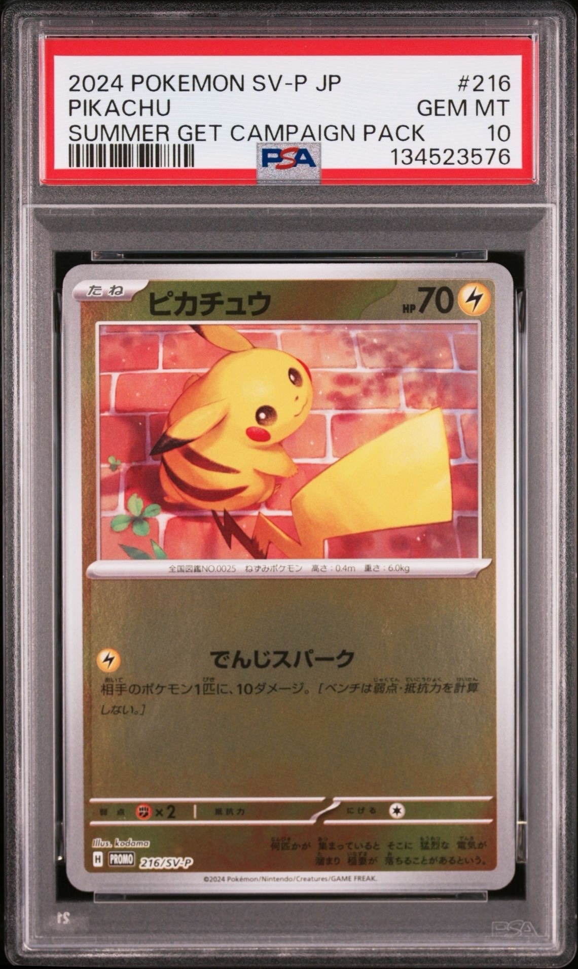 ピカチュウ P [SV-P 216](プロモカードパック「ポケカの夏がキタ！プロモカードGetキャンペーン！」)