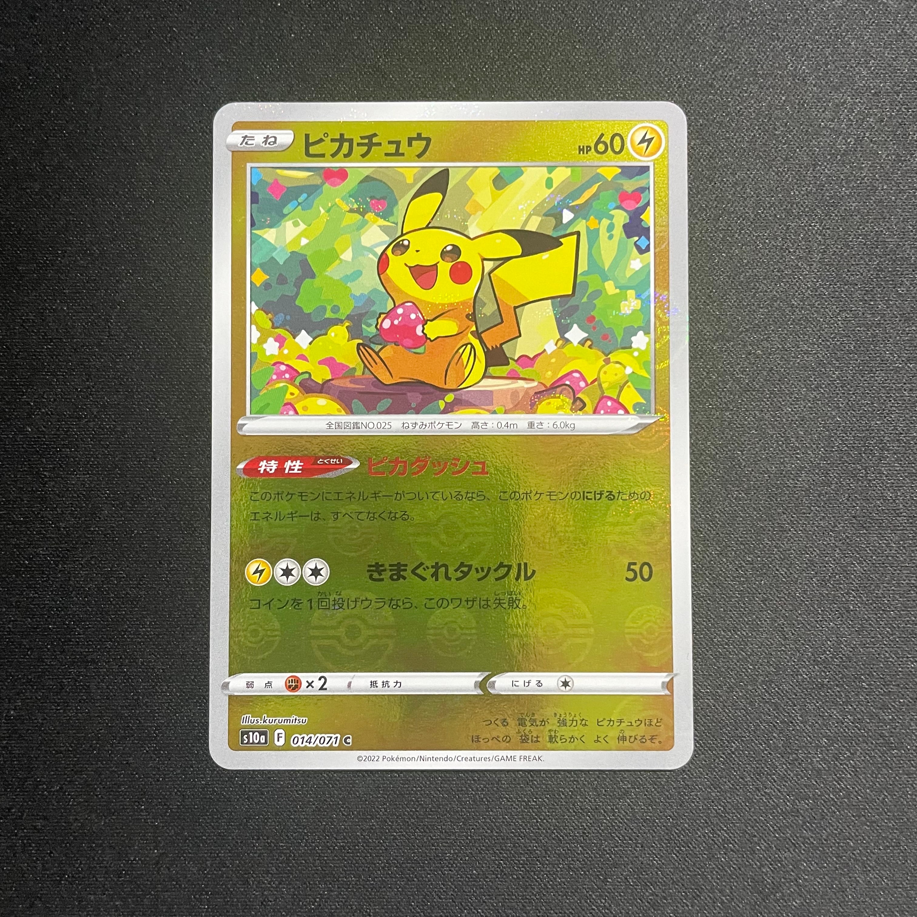 コダック: プロモ[XY-P](プロモーションカード「XY-P」)の新品/中古