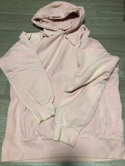 Supreme Terry Richardson digi hoodie