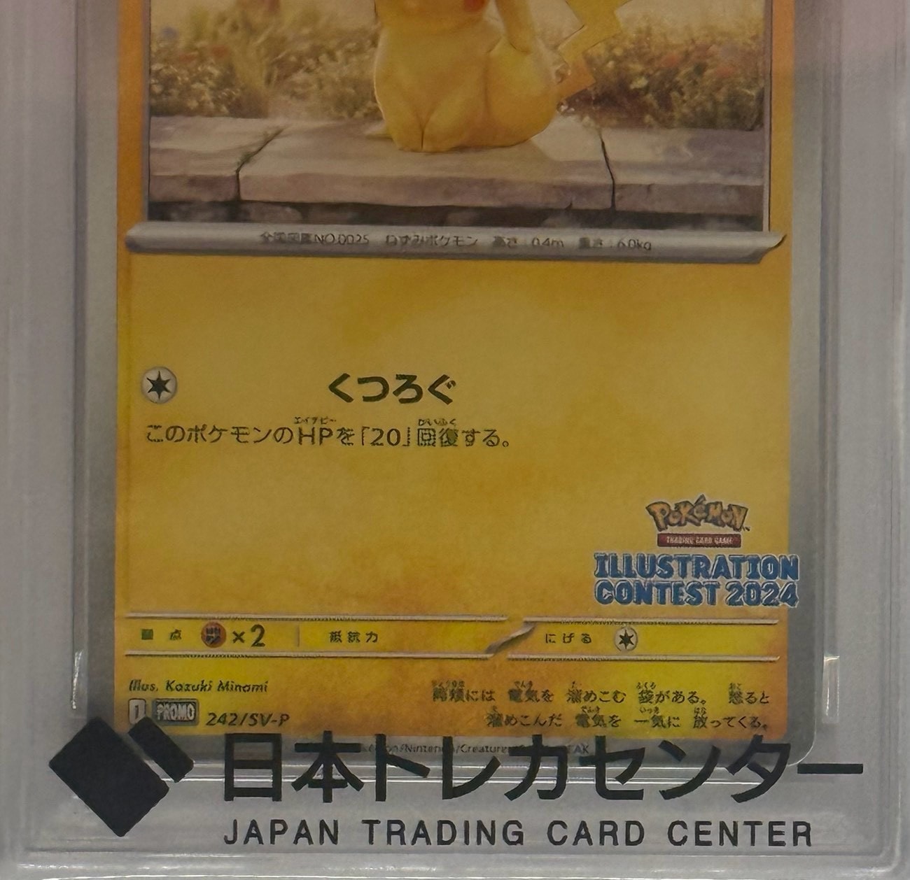 PSA10】ピカチュウ [SV-P 242](プロモカードパック