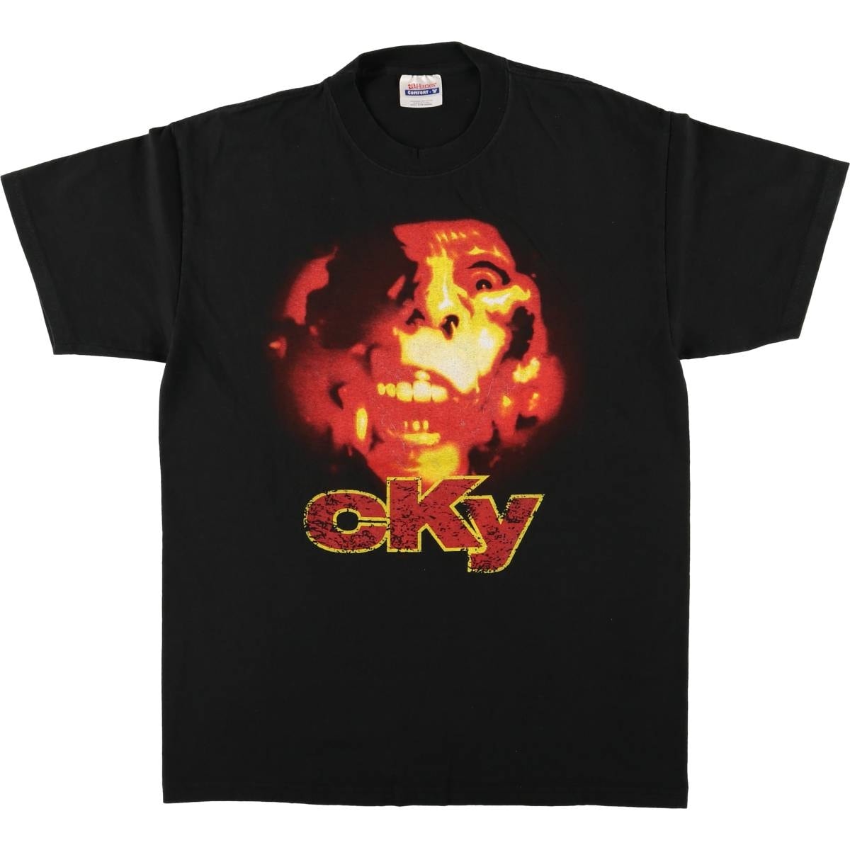 古着 ヘインズ Hanes CKY バンドTシャツ バンT メンズM相当/eaa567044