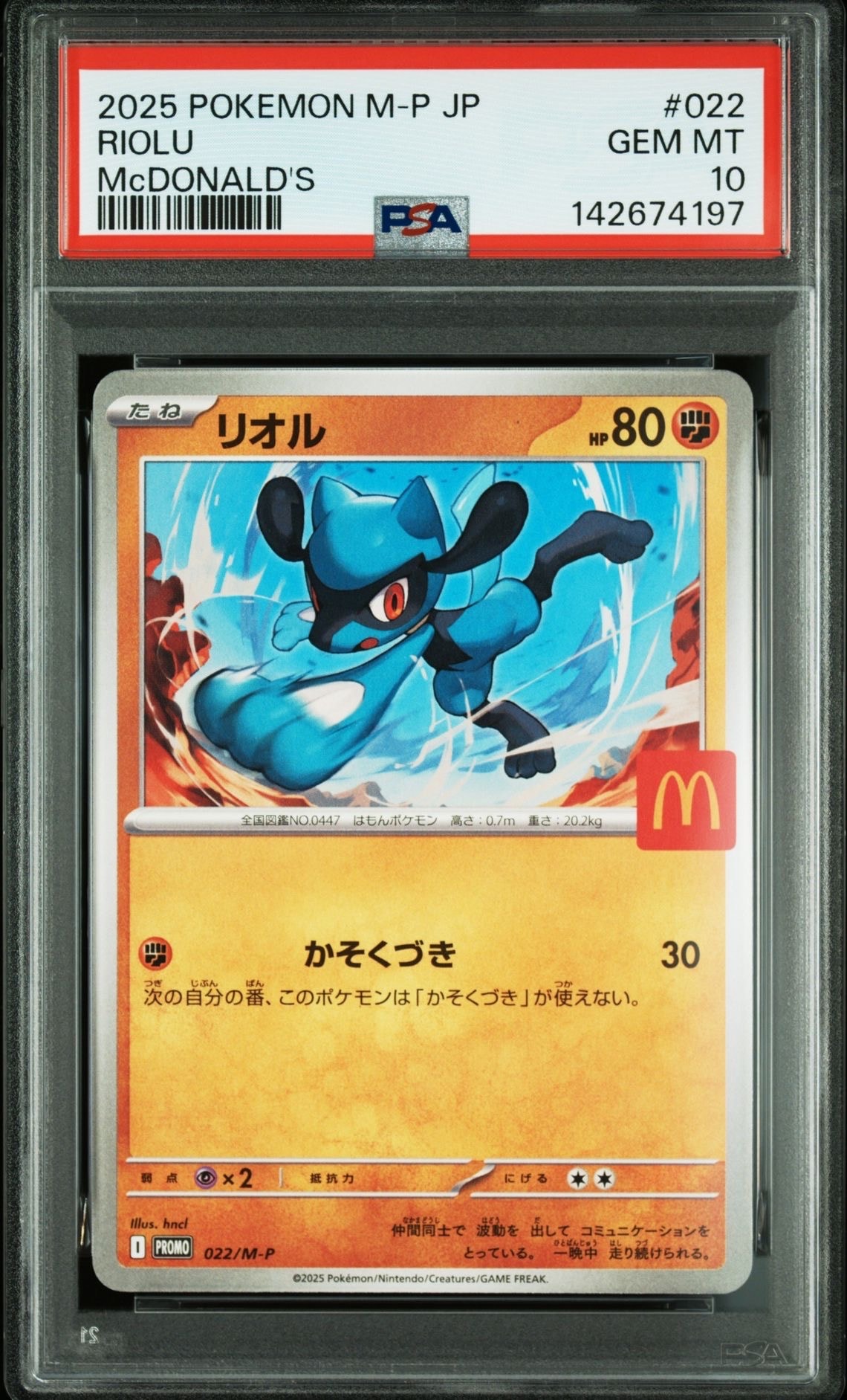 ミュウツーGX HR SM3+ ひかる伝説 080/072 ミュウツーGX HR[SM3+ 080/072](強化拡張パック「ひかる伝説」)の新品