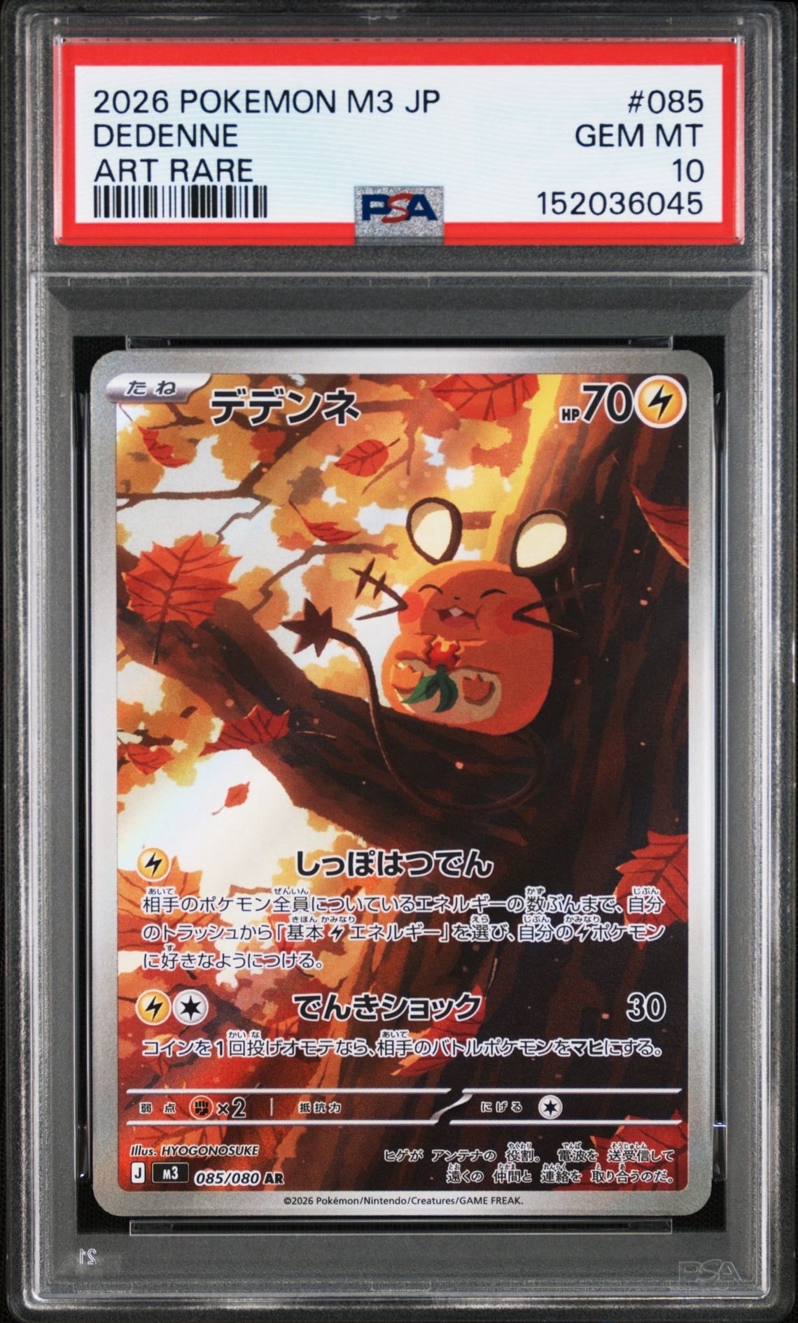 デデンネ AR [M3 085/080](拡張パック「ムニキスゼロ」)の新品/中古