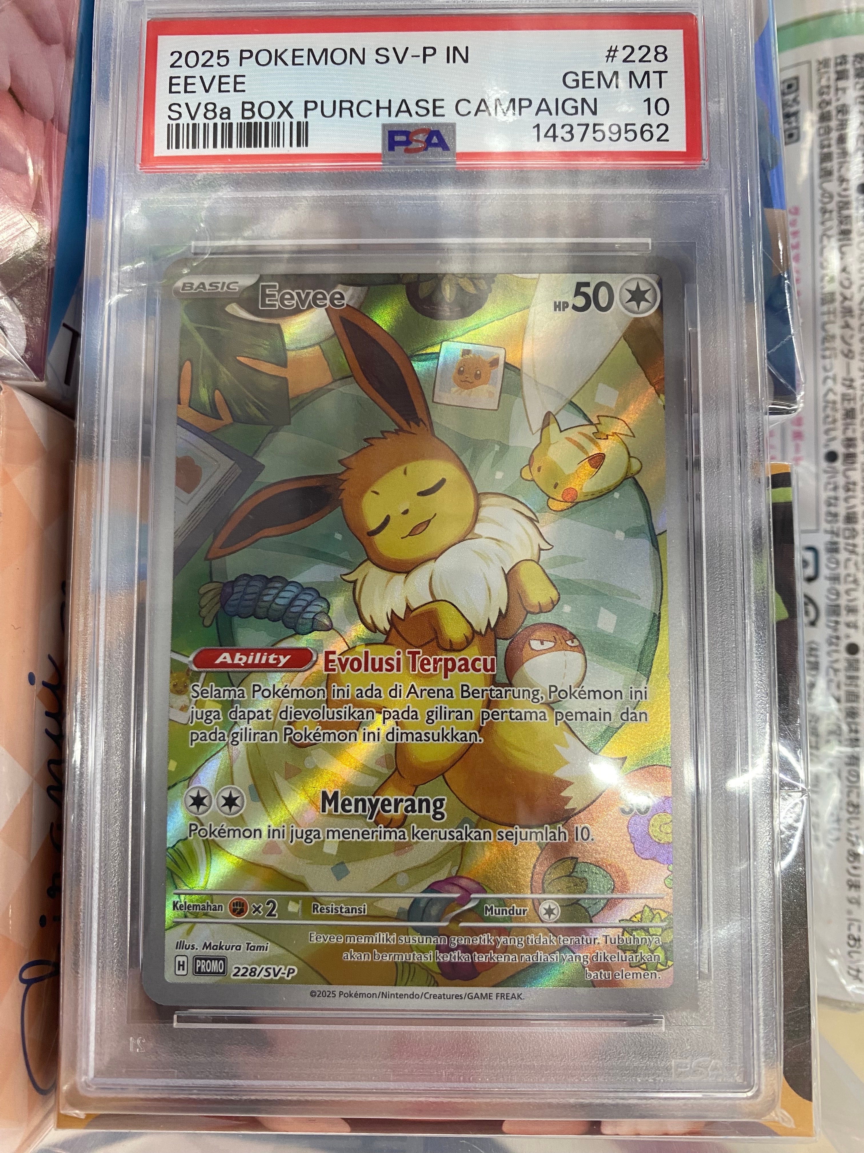 PSA10】イーブイ P [SVP EN 173]【英語版】(スカーレット&バイオレット