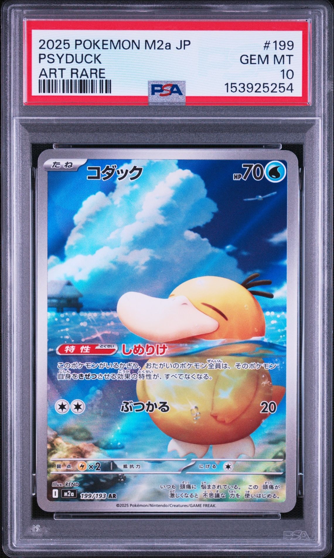 コダック AR [M2a 199/193](ハイクラスパック「MEGAドリームex」)