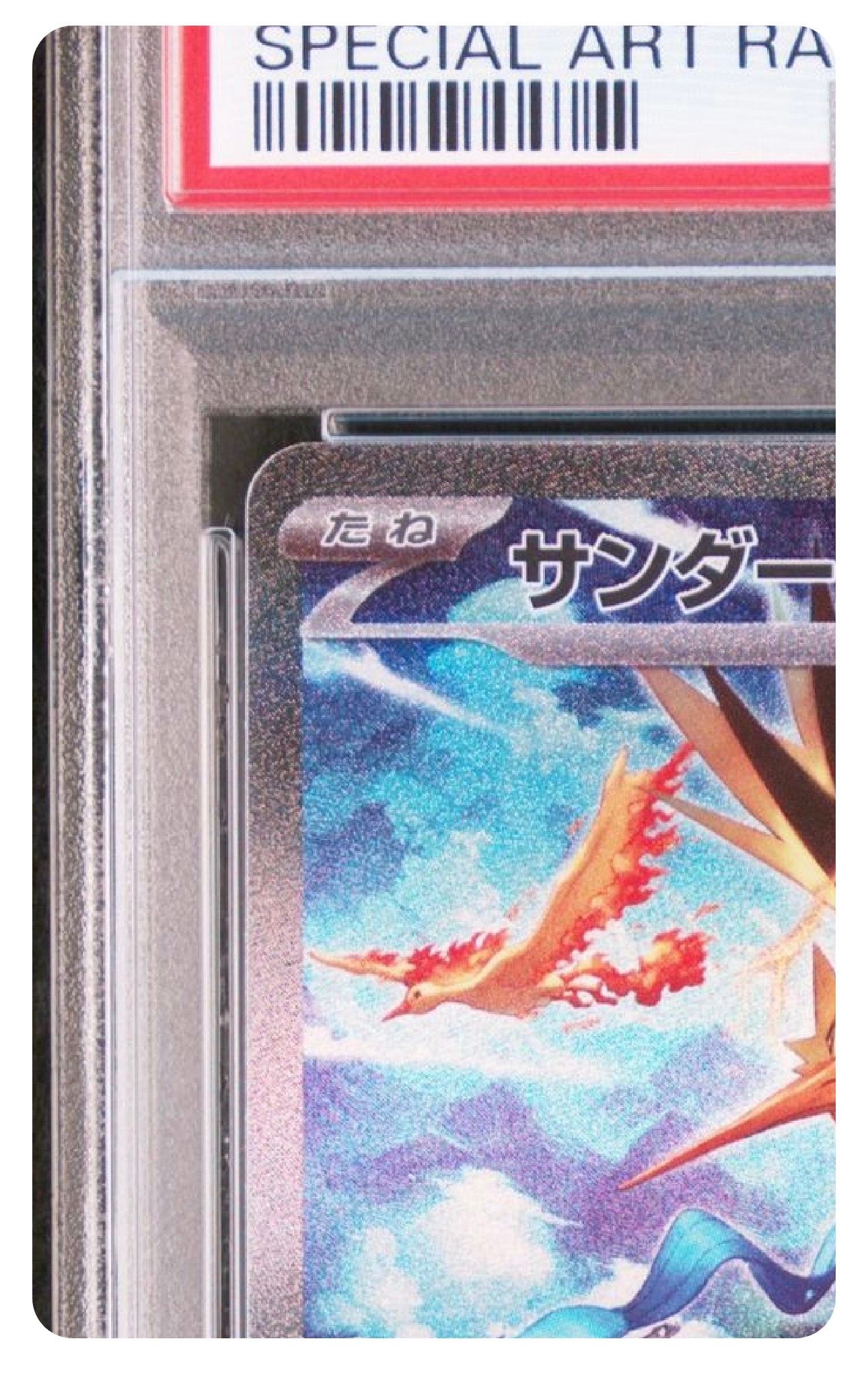 PSA 10]Zapdos ex SAR[SV2a 204/165](Enhanced Expansion Pack