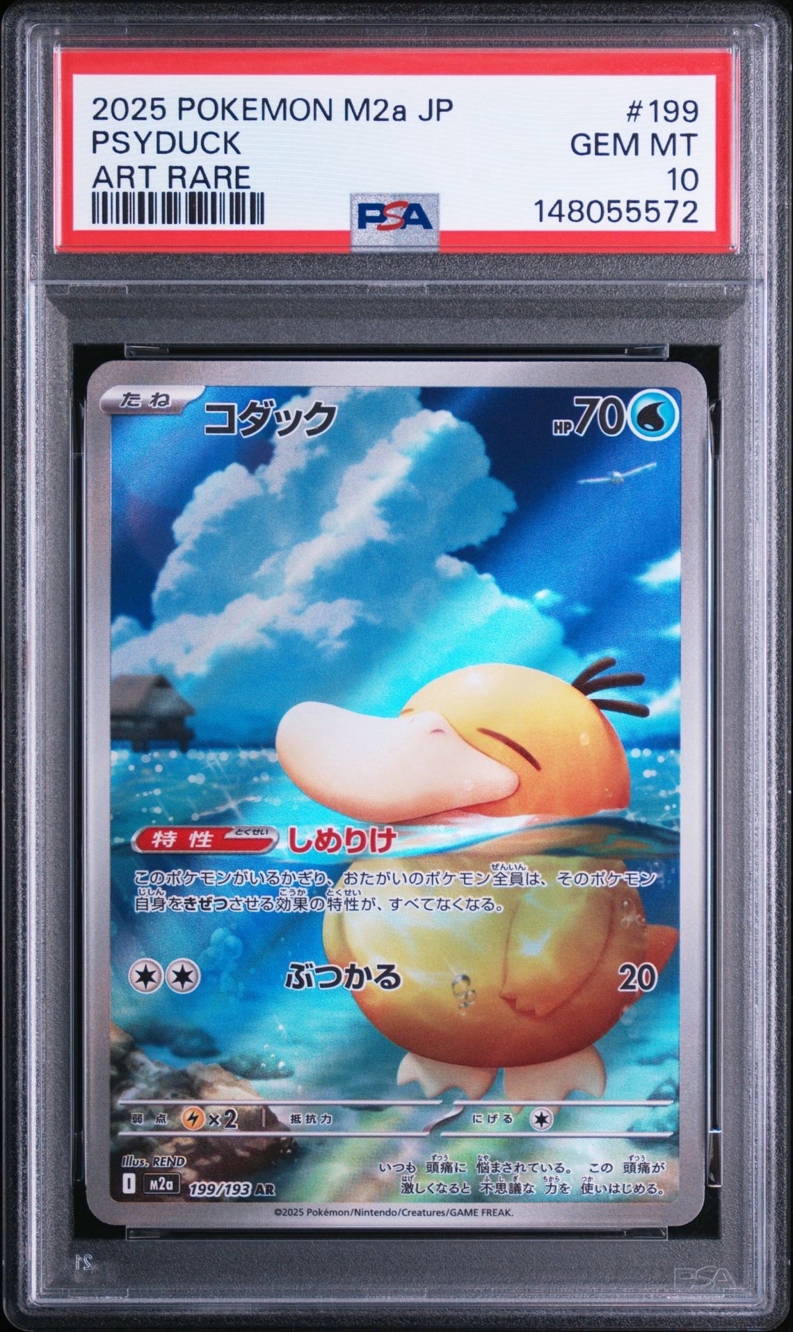 コダック AR [M2a 199/193](ハイクラスパック「MEGAドリームex」)