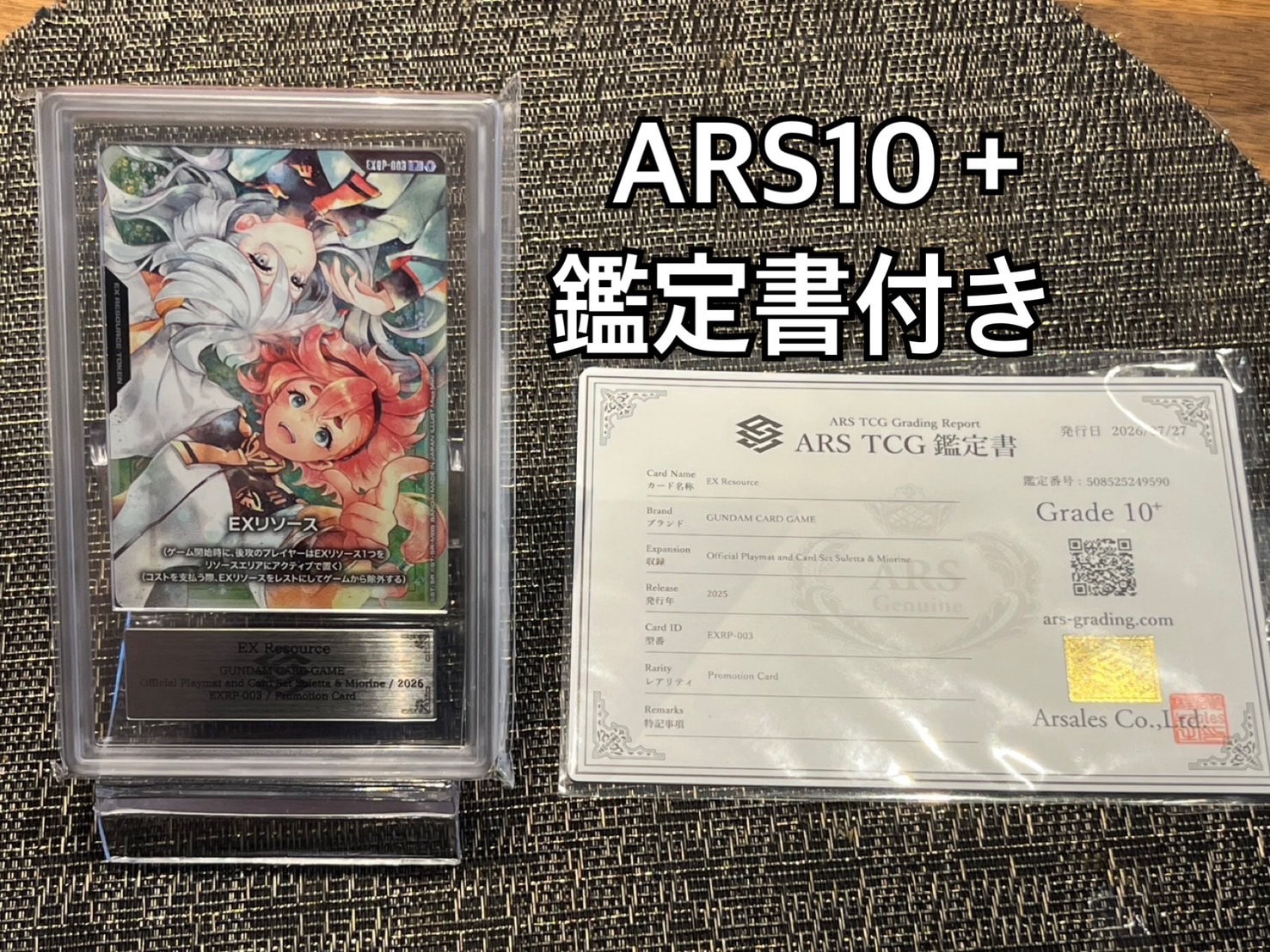 EXリソース P :開催記念商品 [EXRP-003](プロモーションカード「バンダイ カード ゲーム フェスタ 25-26」)