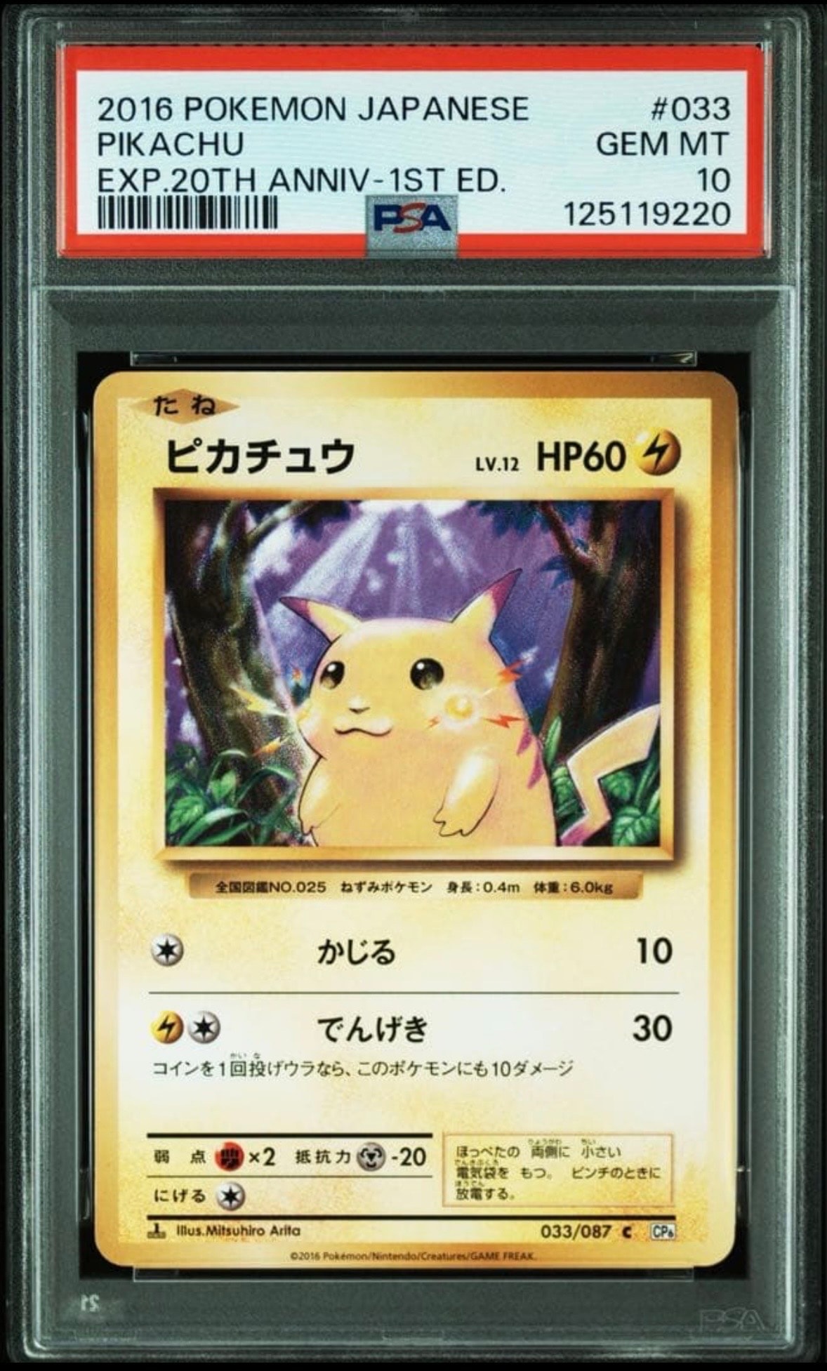 ピカチュウ C :1ED [CP6 033/087](コンセプトパック「ポケットモンスターカードゲーム 拡張パック 20th Anniversary」)