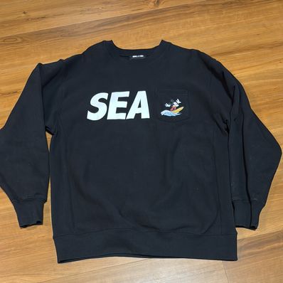 wind and sea Disneyコラボスウェット