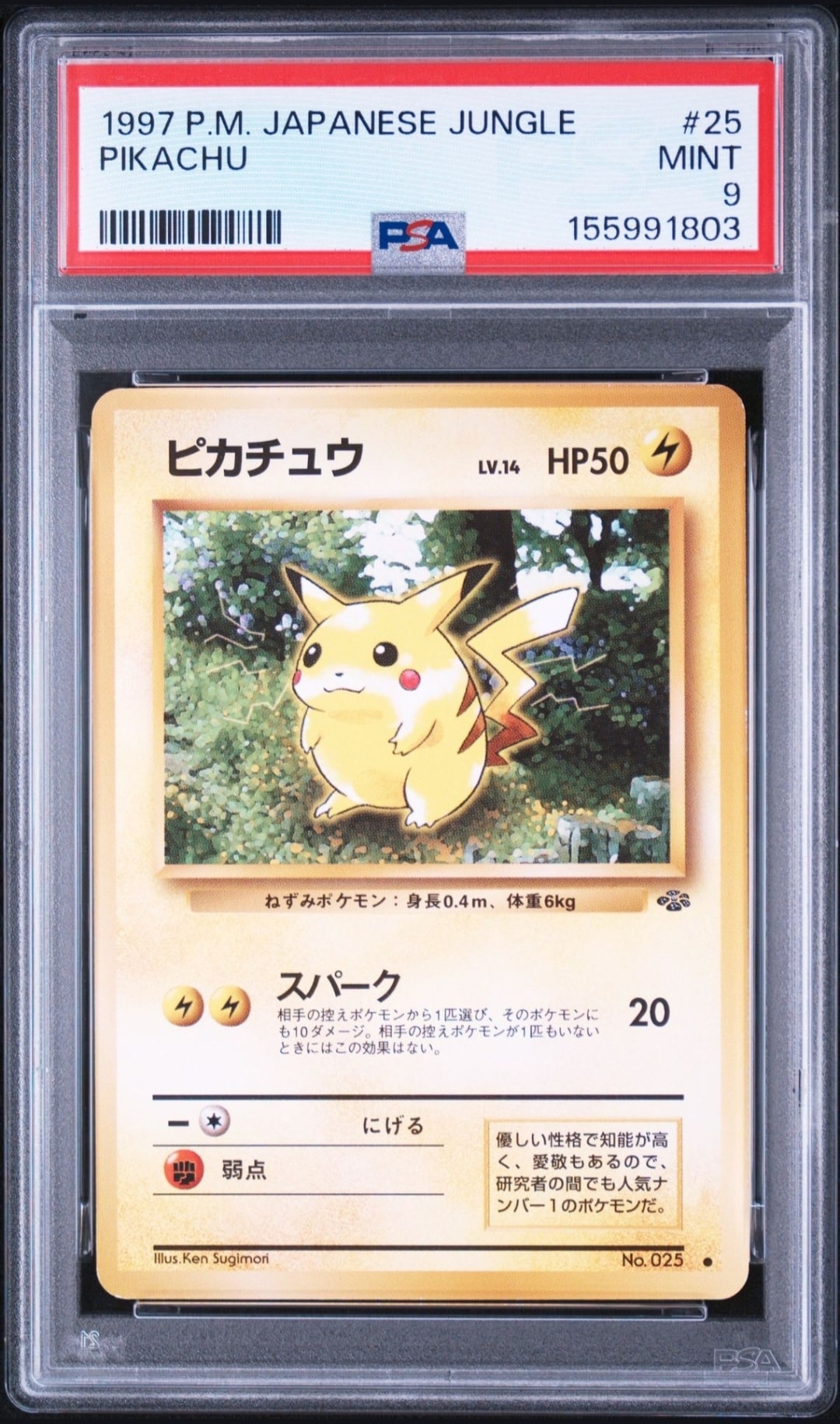 ピカチュウ ● : 旧裏 [PMCG2 No.025](拡張パック「ポケモンジャングル」)