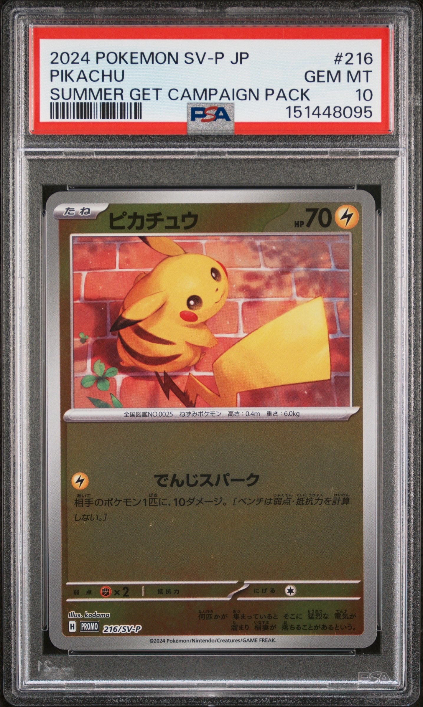 ピカチュウ プロモ 夏 PSA10 PSA10】ピカチュウ P [SV-P 216](プロモカードパック「ポケカの夏が