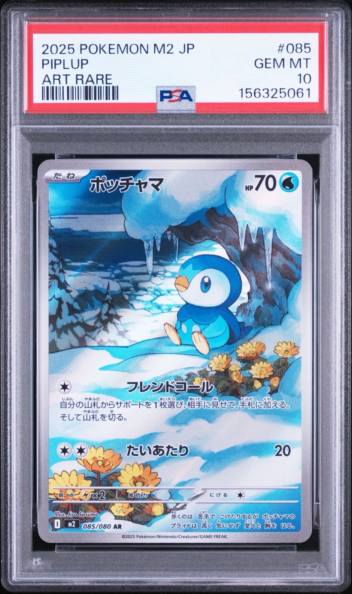 PSA10】ポッチャマ AR [M2 085/080](拡張パック「インフェルノX」) 2枚