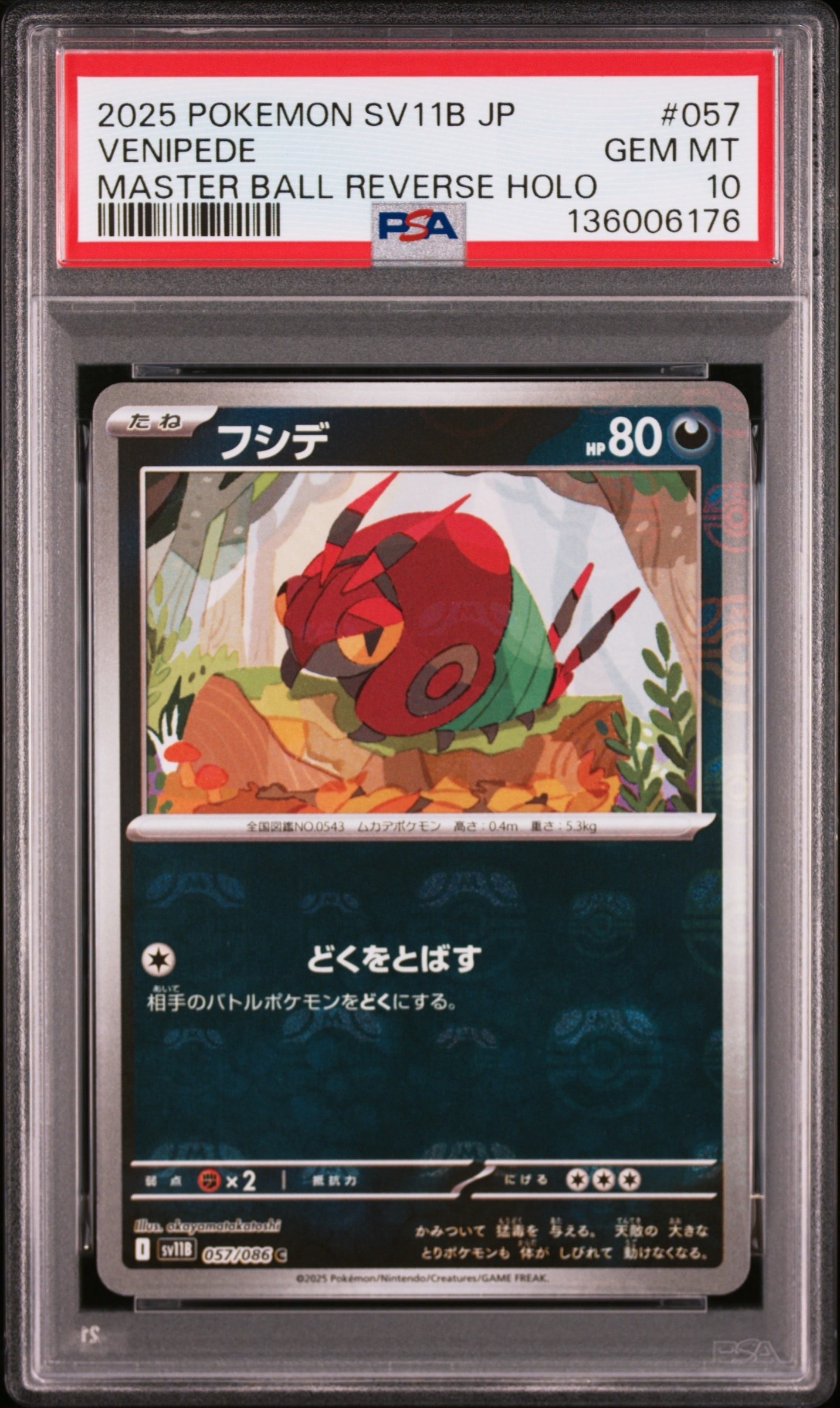 フシデ C :マスターボールミラー [SV11B 057/086](拡張パック「ブラックボルト」)