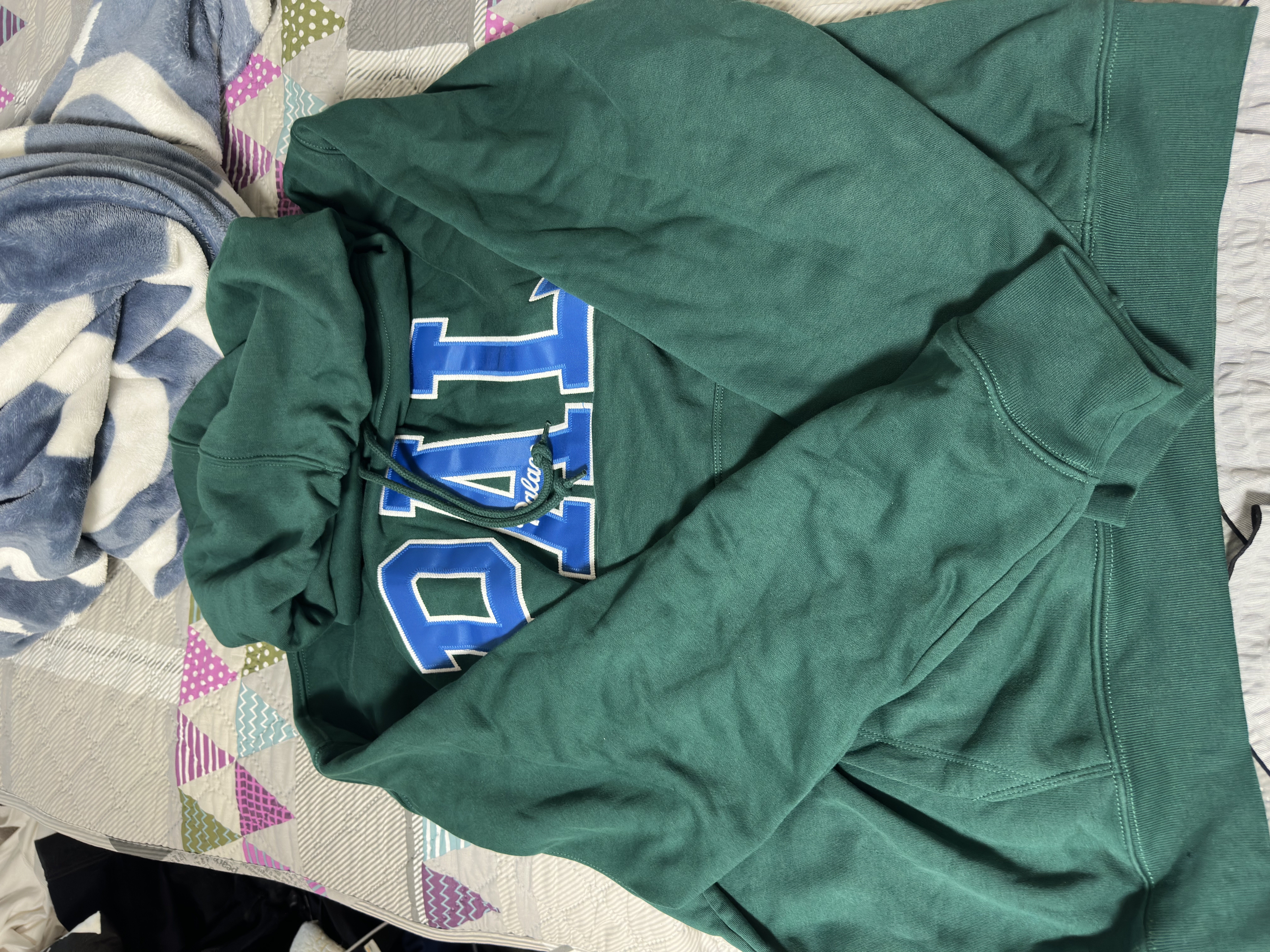 PALACE x Gap Hood "Rain Forest"