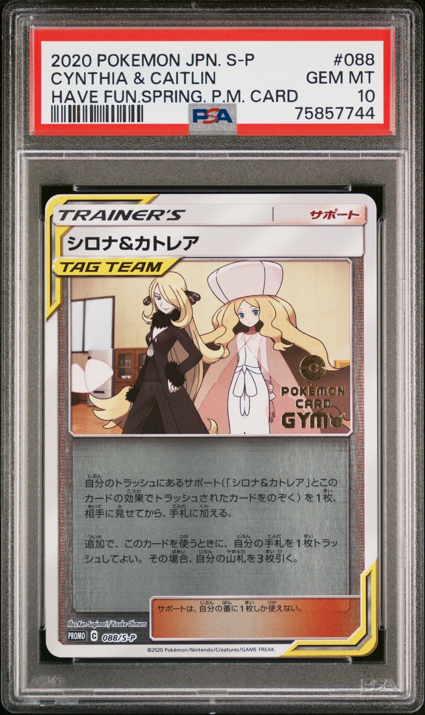 シロナ&カトレア P [S-P 088](プロモーションカード「楽しもう。春、ポケカ」)