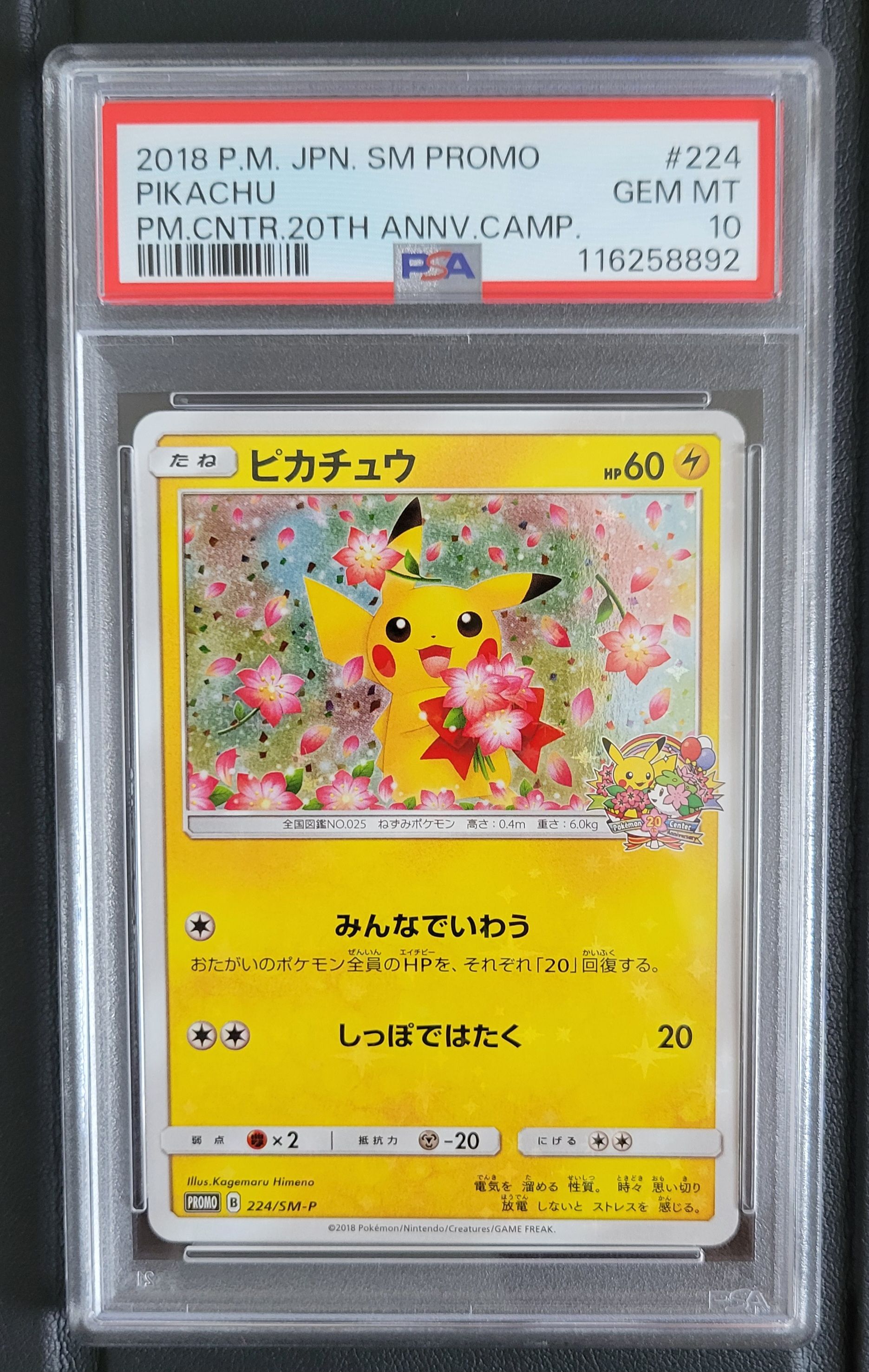 ピカチュウ: プロモ[SM-P 224](プロモーションカード「SM-P」)