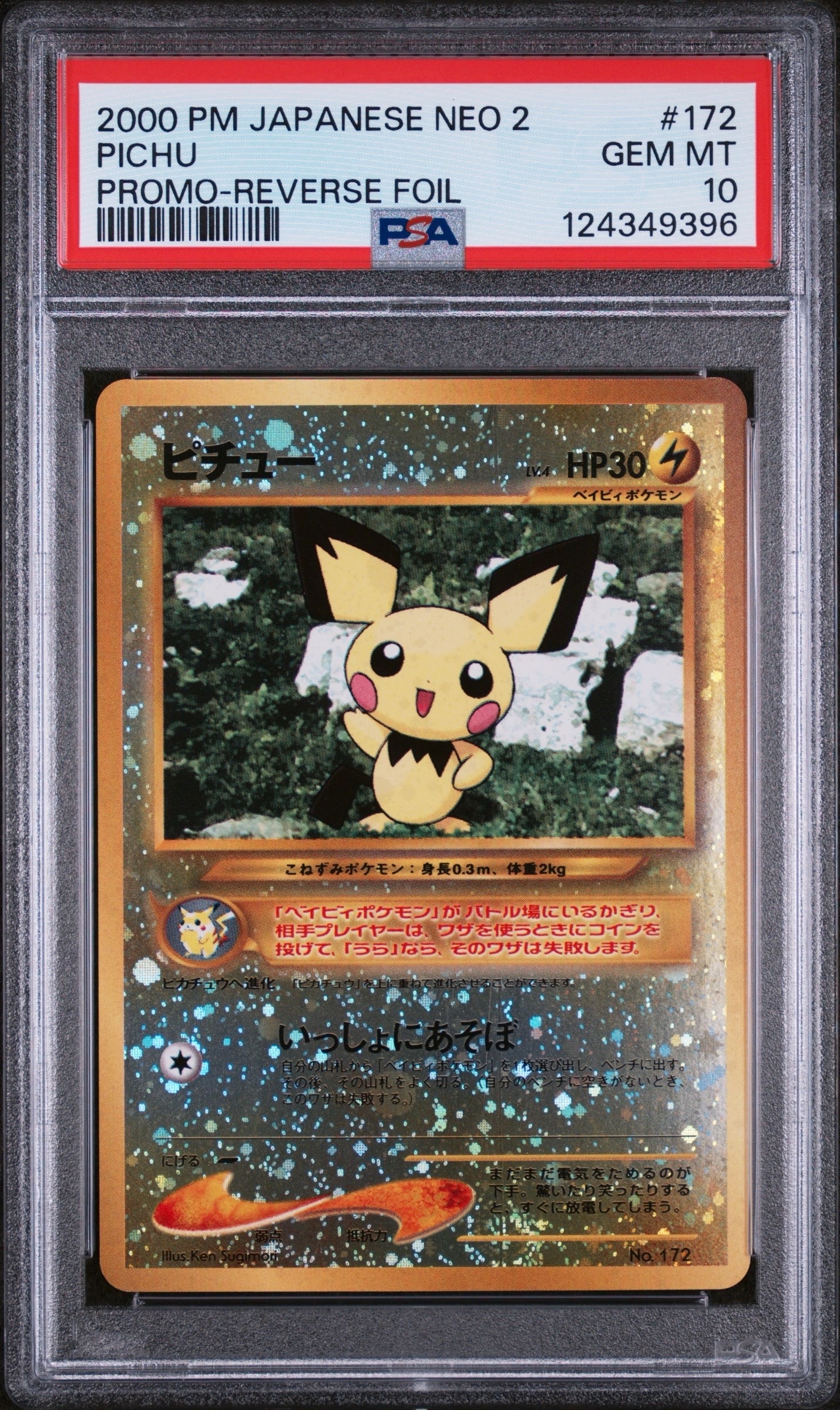 ピチュープレミアムファイル2: 旧裏[neoP2 No.172](プレミアムファイル2)