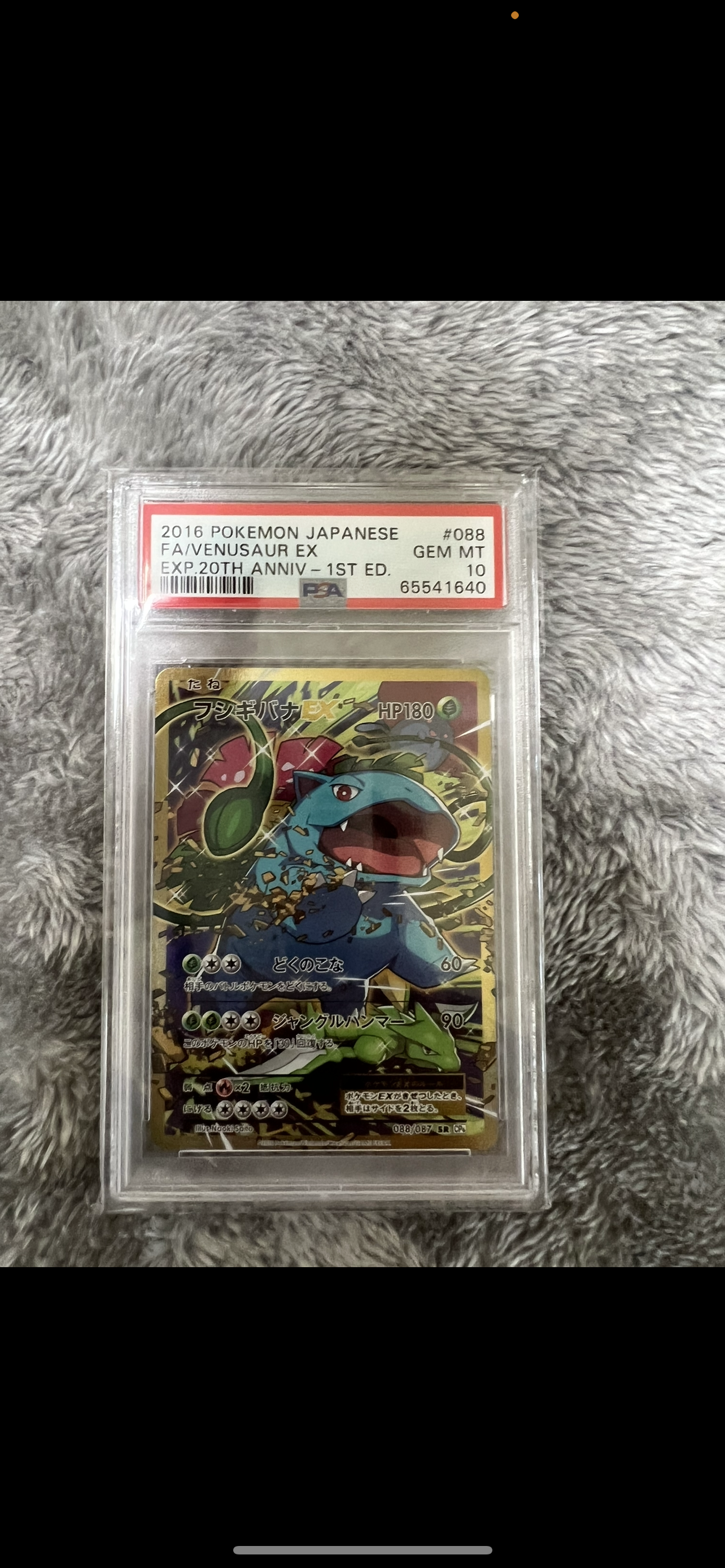 フシギバナEX SR :1ED [CP6 088/087](コンセプトパック「ポケットモンスターカードゲーム 拡張パック 20th Anniversary」)