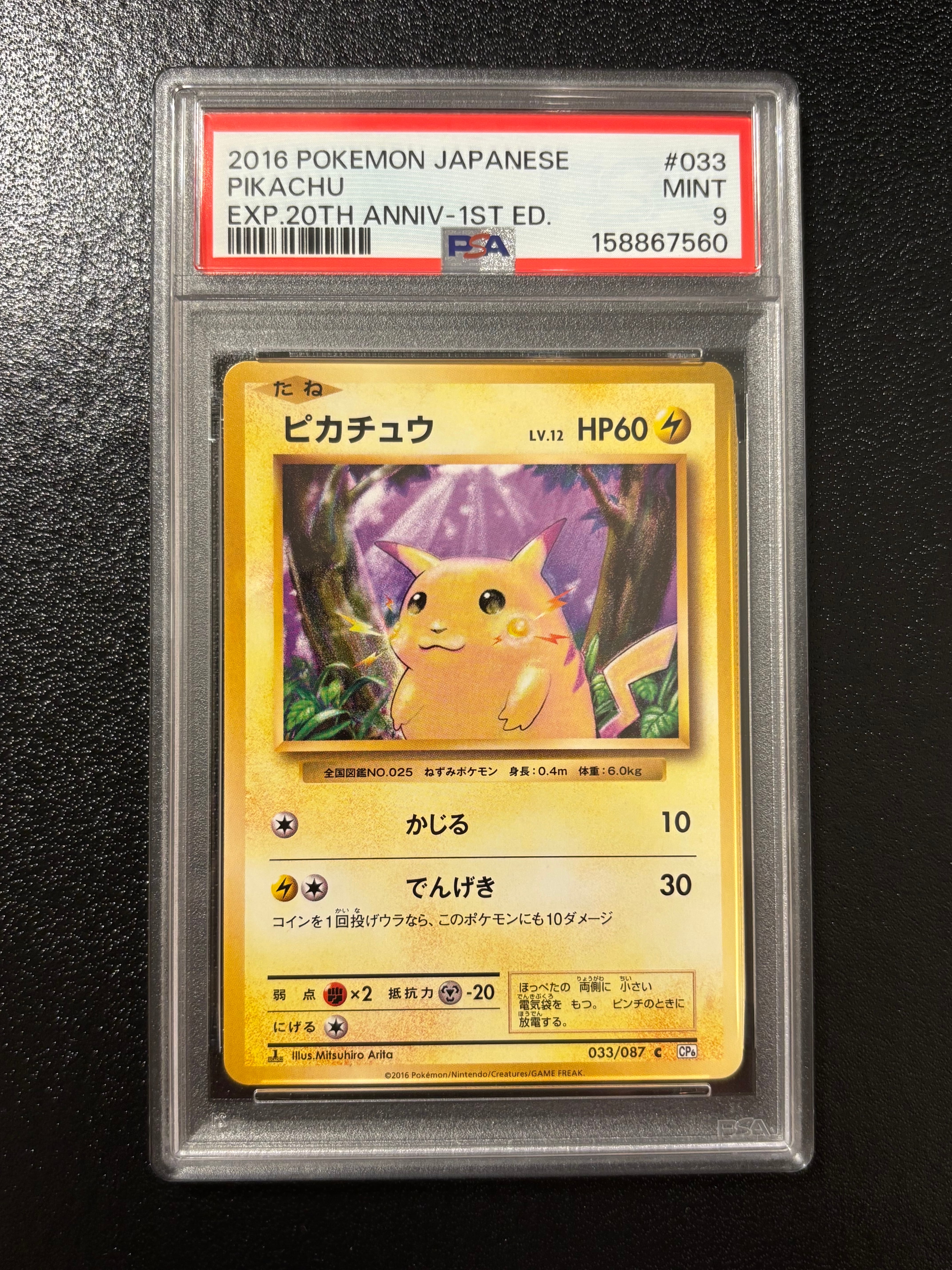 ピカチュウ C :1ED [CP6 033/087](コンセプトパック「ポケットモンスターカードゲーム 拡張パック 20th Anniversary」)