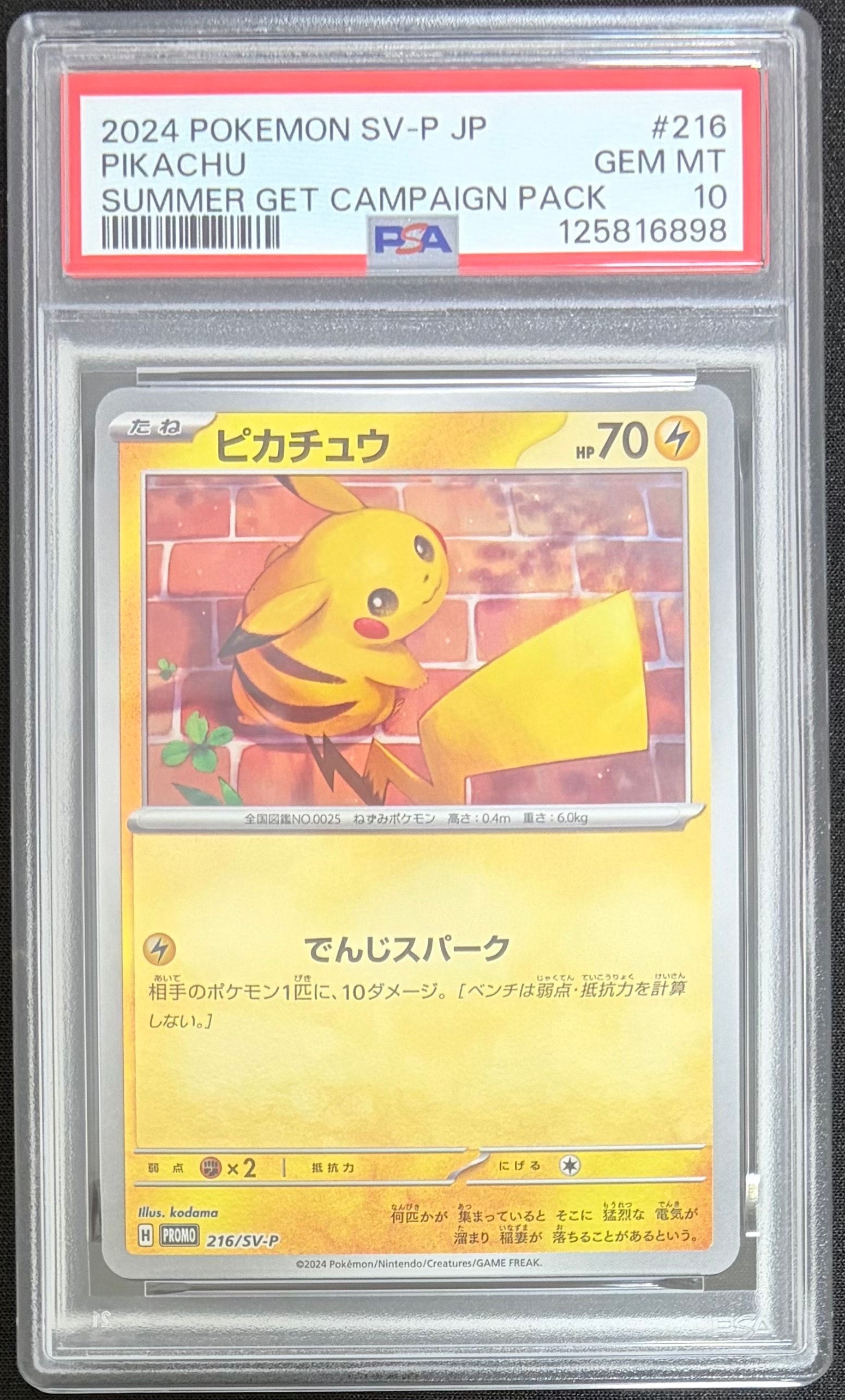 ピカチュウ P [SV-P 216](プロモカードパック「ポケカの夏がキタ!プロモカードGetキャンペーン!」)